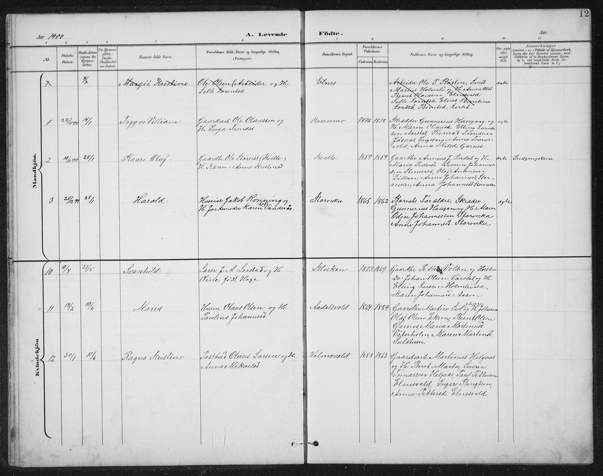 Ministerialprotokoller, klokkerbøker og fødselsregistre - Nord-Trøndelag, AV/SAT-A-1458/724/L0269: Parish register (copy) no. 724C05, 1899-1920, p. 12