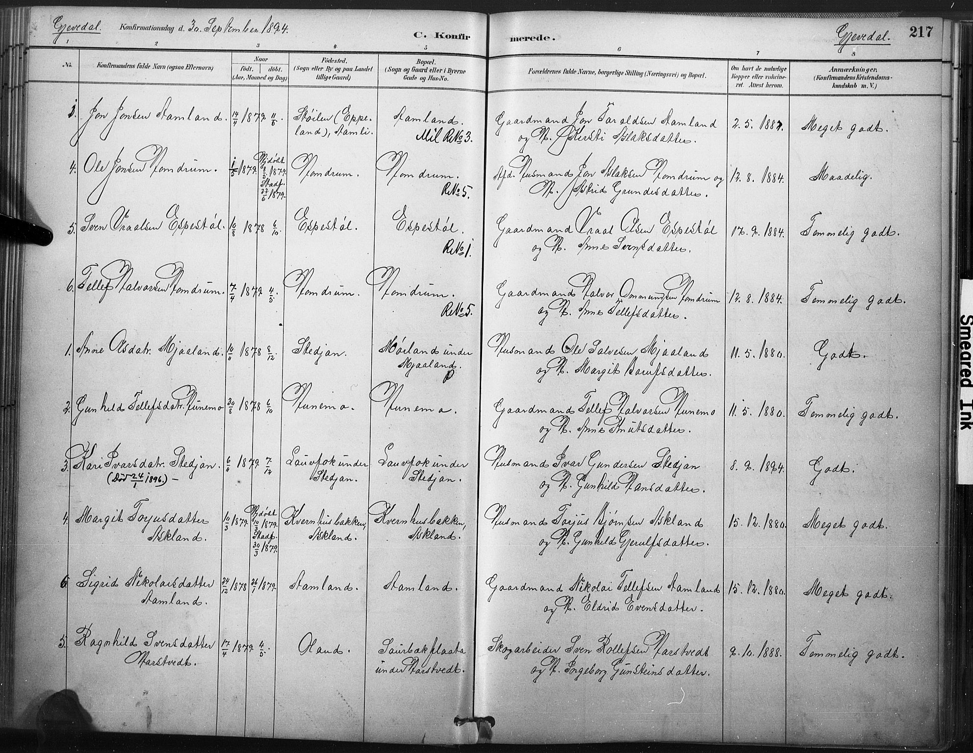 Åmli sokneprestkontor, SAK/1111-0050/F/Fa/Fac/L0010: Parish register (official) no. A 10 /2, 1885-1899, p. 217