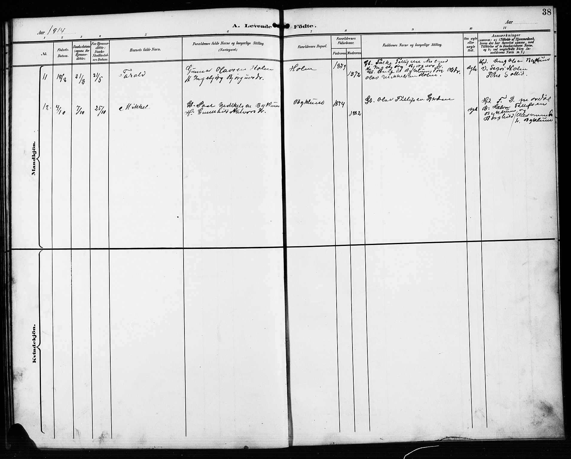 Valle sokneprestkontor, AV/SAK-1111-0044/F/Fb/Fba/L0003: Parish register (copy) no. B 3, 1895-1916, p. 38