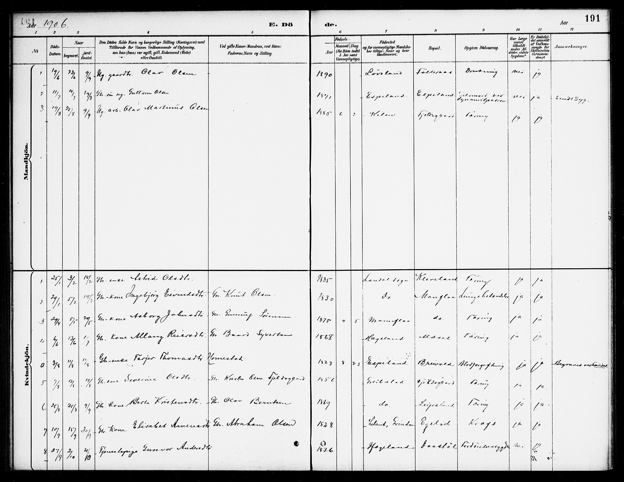 Bjelland sokneprestkontor, SAK/1111-0005/F/Fa/Fab/L0004: Parish register (official) no. A 4, 1887-1920, p. 191