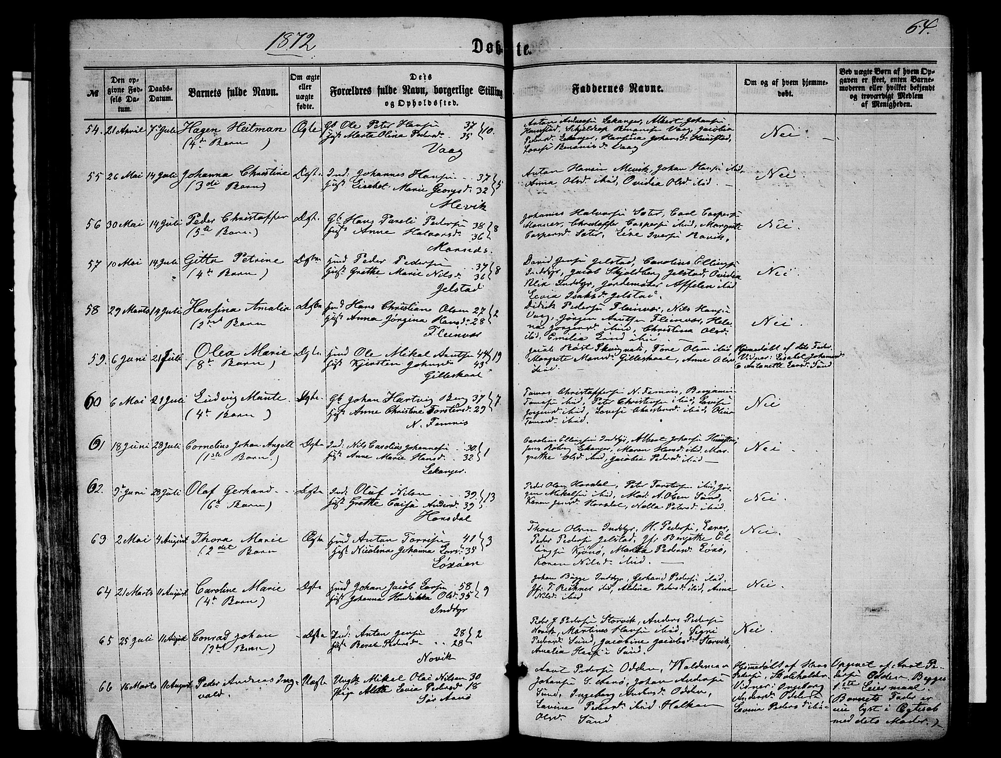 Ministerialprotokoller, klokkerbøker og fødselsregistre - Nordland, AV/SAT-A-1459/805/L0107: Parish register (copy) no. 805C03, 1862-1885, p. 64