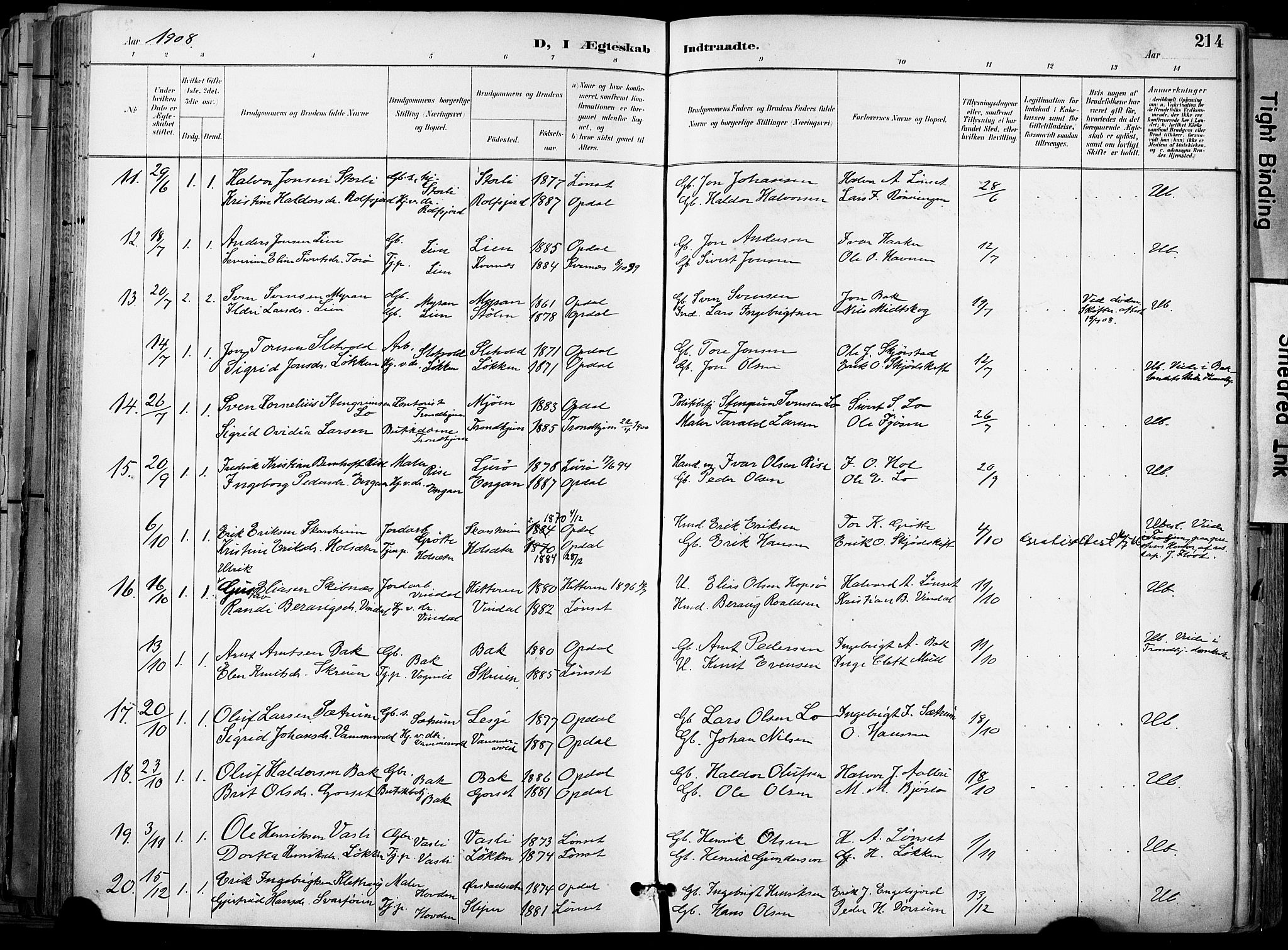 Ministerialprotokoller, klokkerbøker og fødselsregistre - Sør-Trøndelag, SAT/A-1456/678/L0902: Parish register (official) no. 678A11, 1895-1911, p. 214
