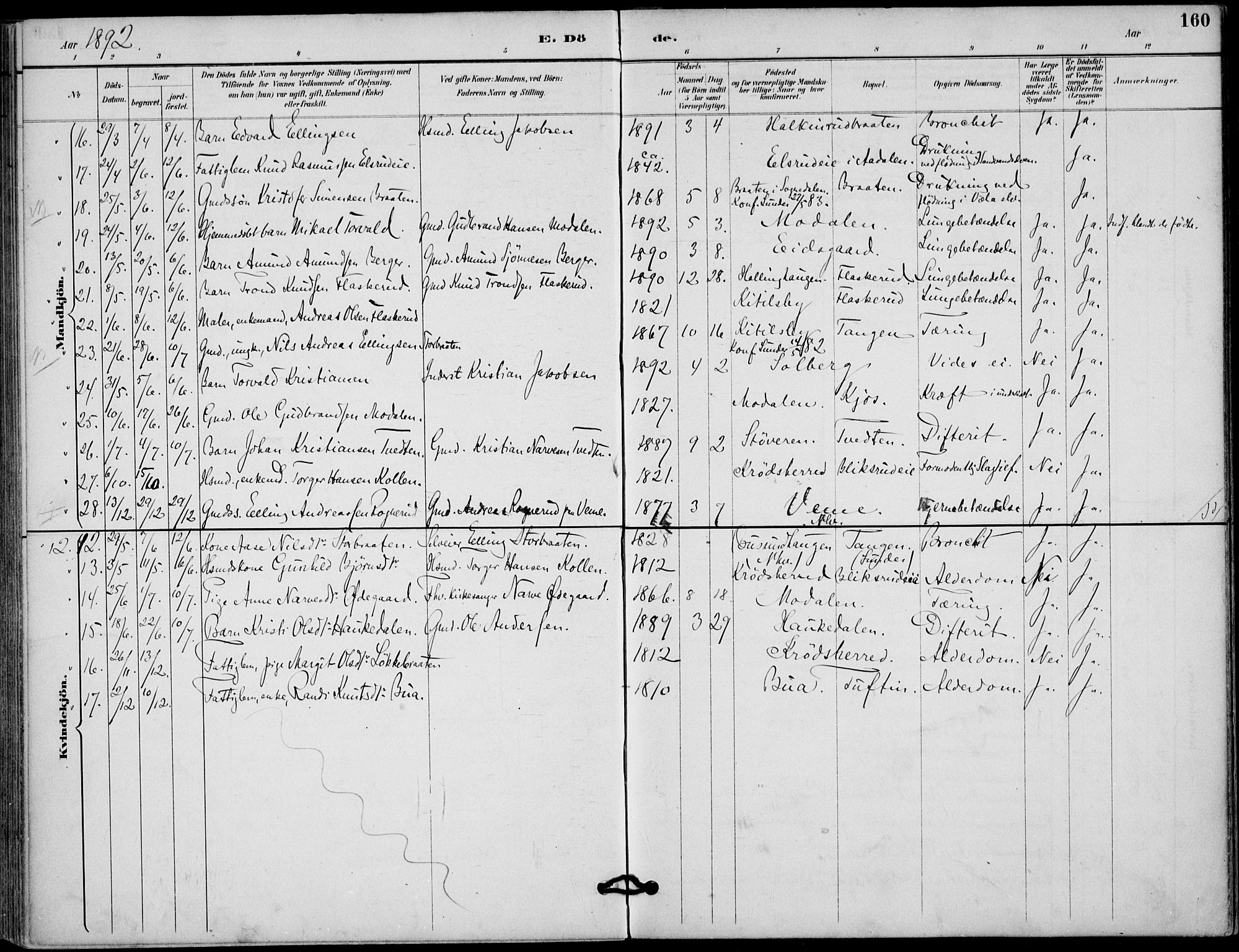 Lunder kirkebøker, AV/SAKO-A-629/F/Fa/L0001: Parish register (official) no. I 1, 1885-1912, p. 160