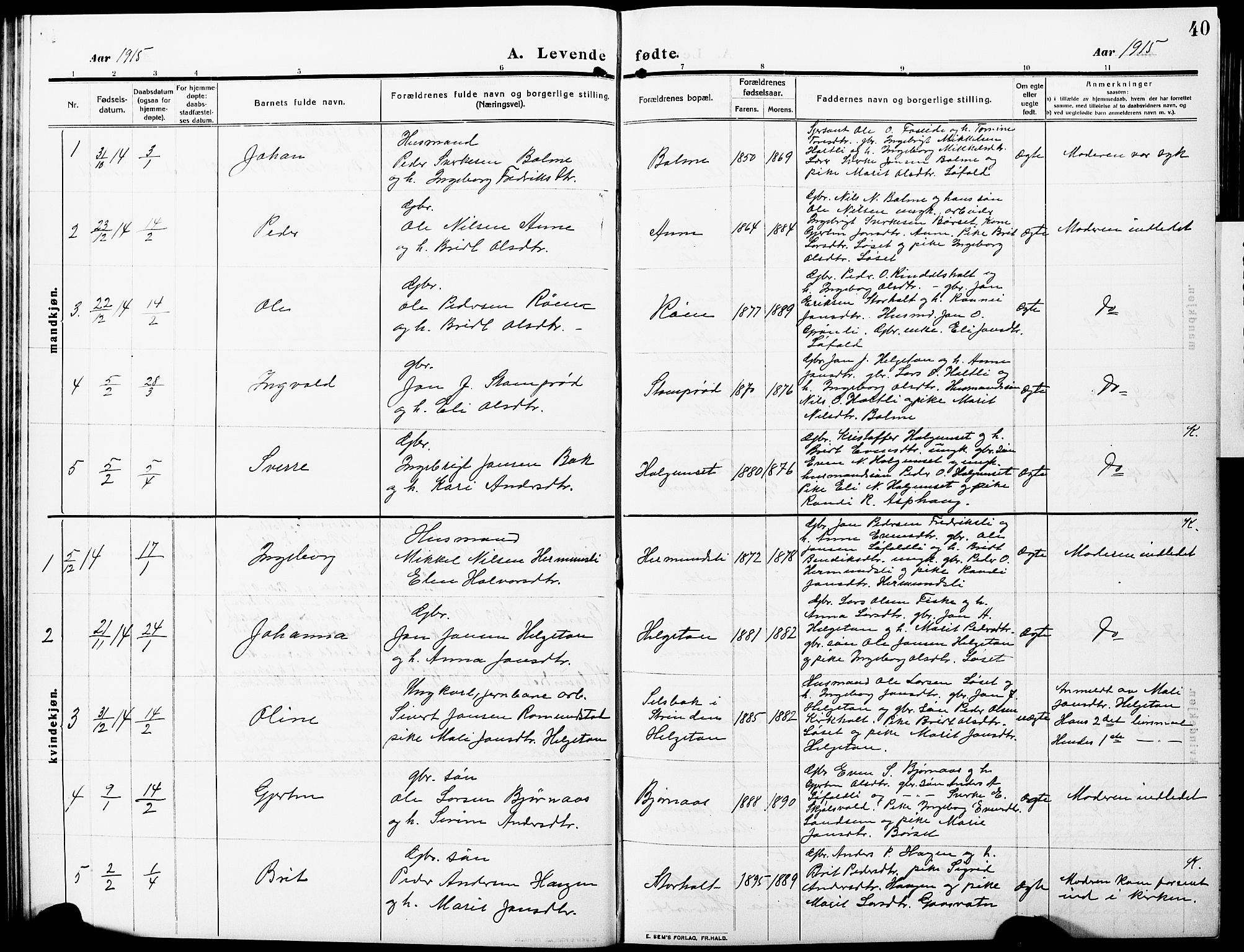 Ministerialprotokoller, klokkerbøker og fødselsregistre - Møre og Romsdal, AV/SAT-A-1454/598/L1079: Parish register (copy) no. 598C04, 1909-1927, p. 40