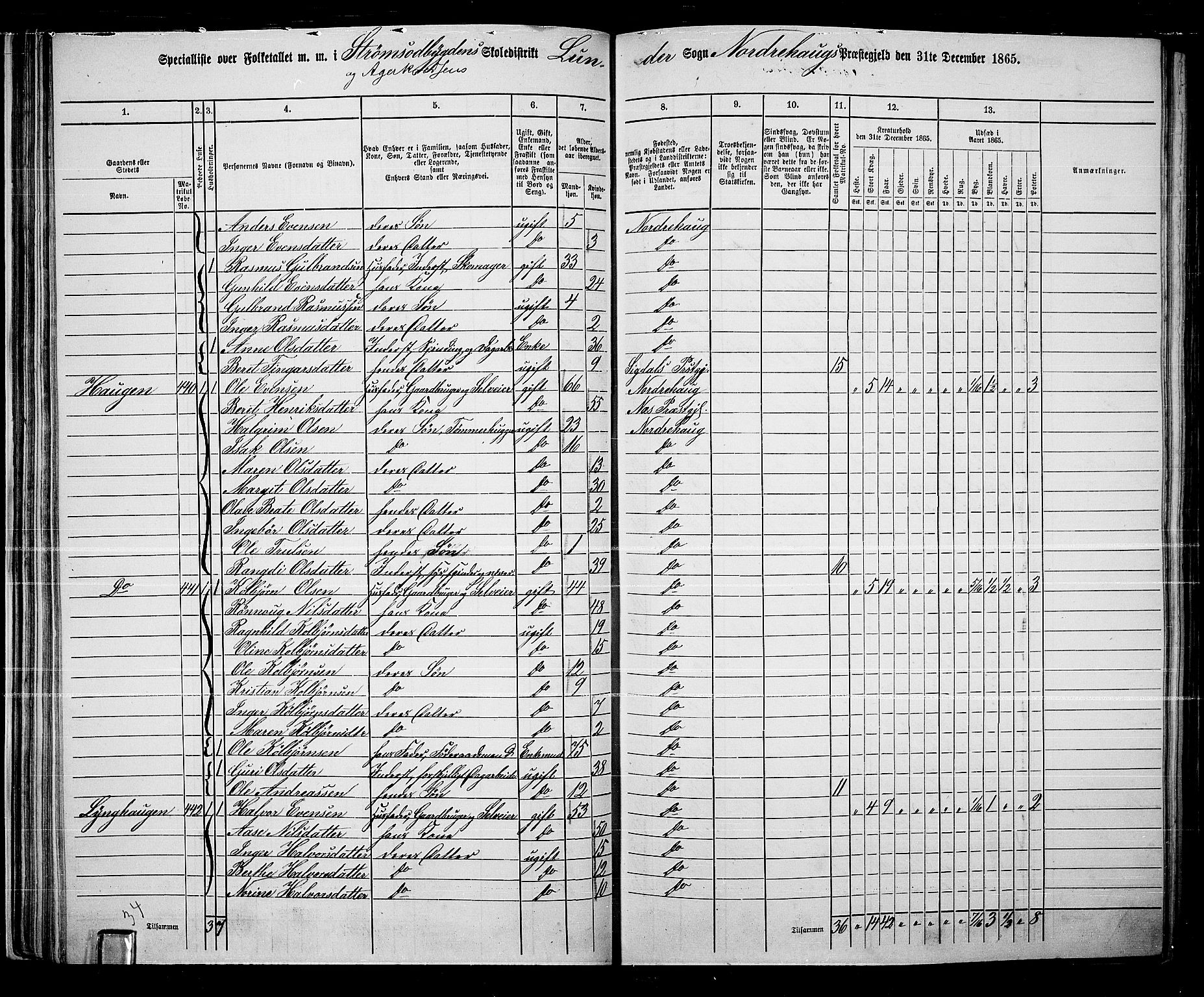 RA, 1865 census for Norderhov/Norderhov, Haug og Lunder, 1865, p. 55