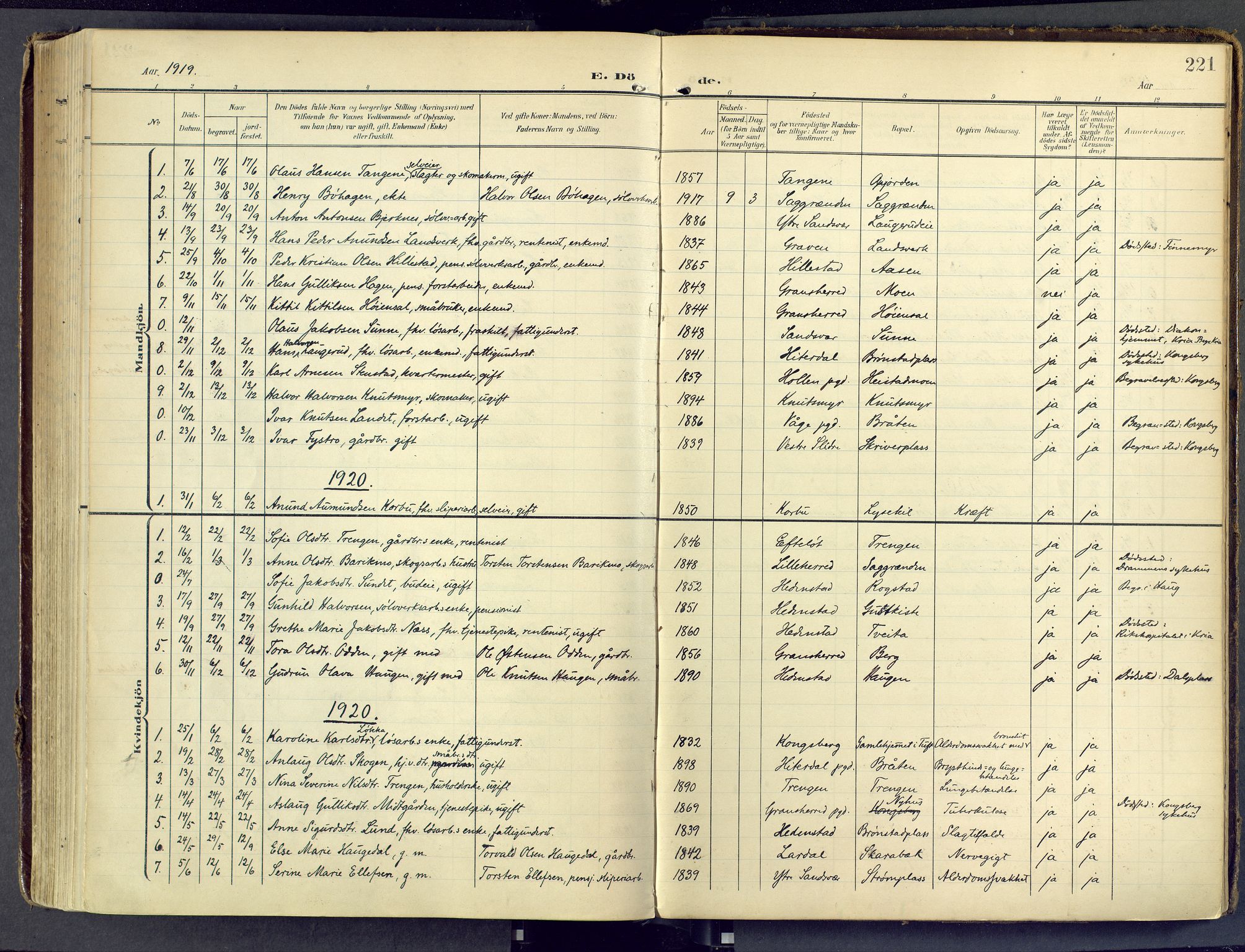 Sandsvær kirkebøker, SAKO/A-244/F/Fd/L0002: Parish register (official) no. IV 2, 1906-1943, p. 221