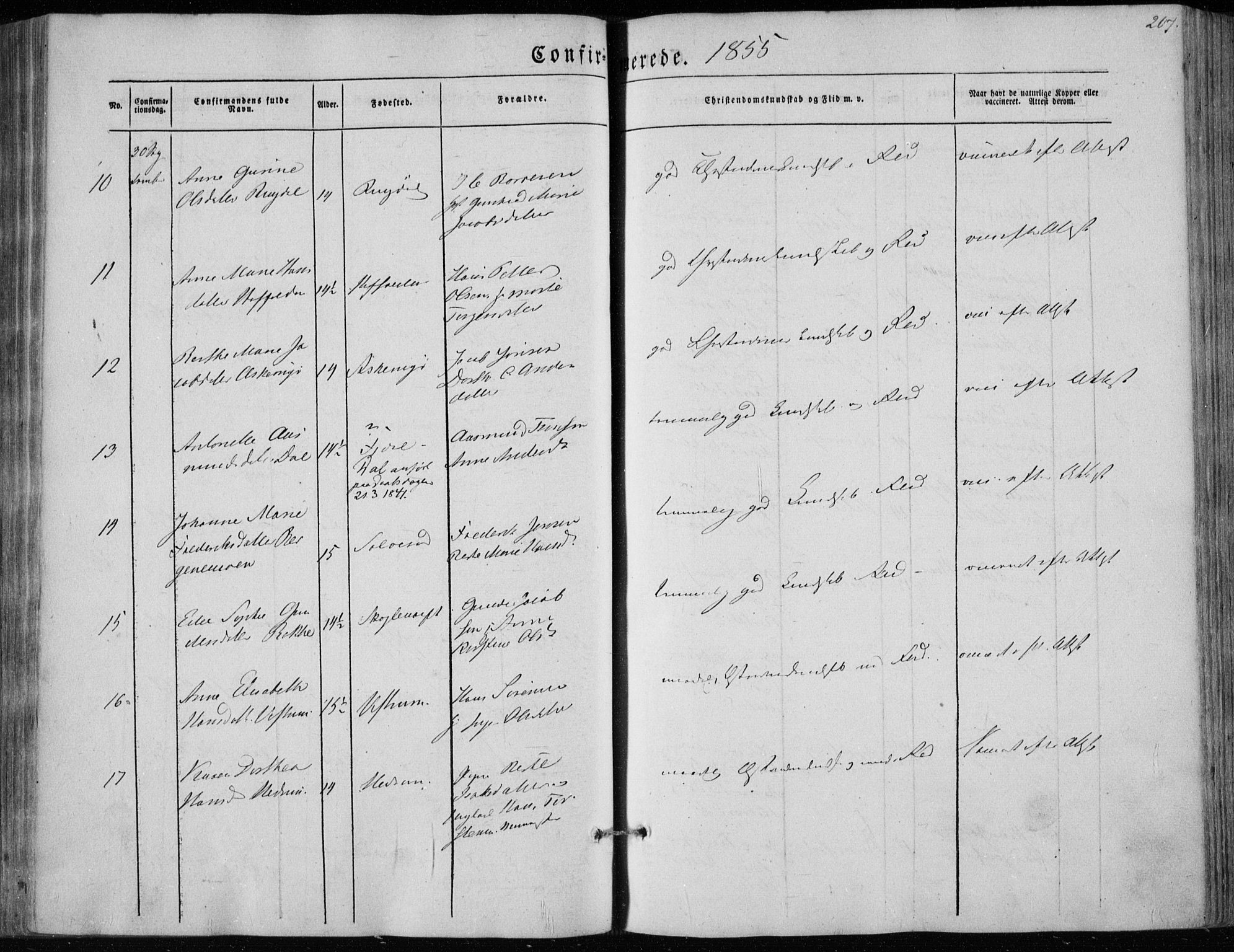 Hedrum kirkebøker, AV/SAKO-A-344/F/Fa/L0006: Parish register (official) no. I 6, 1849-1857, p. 207