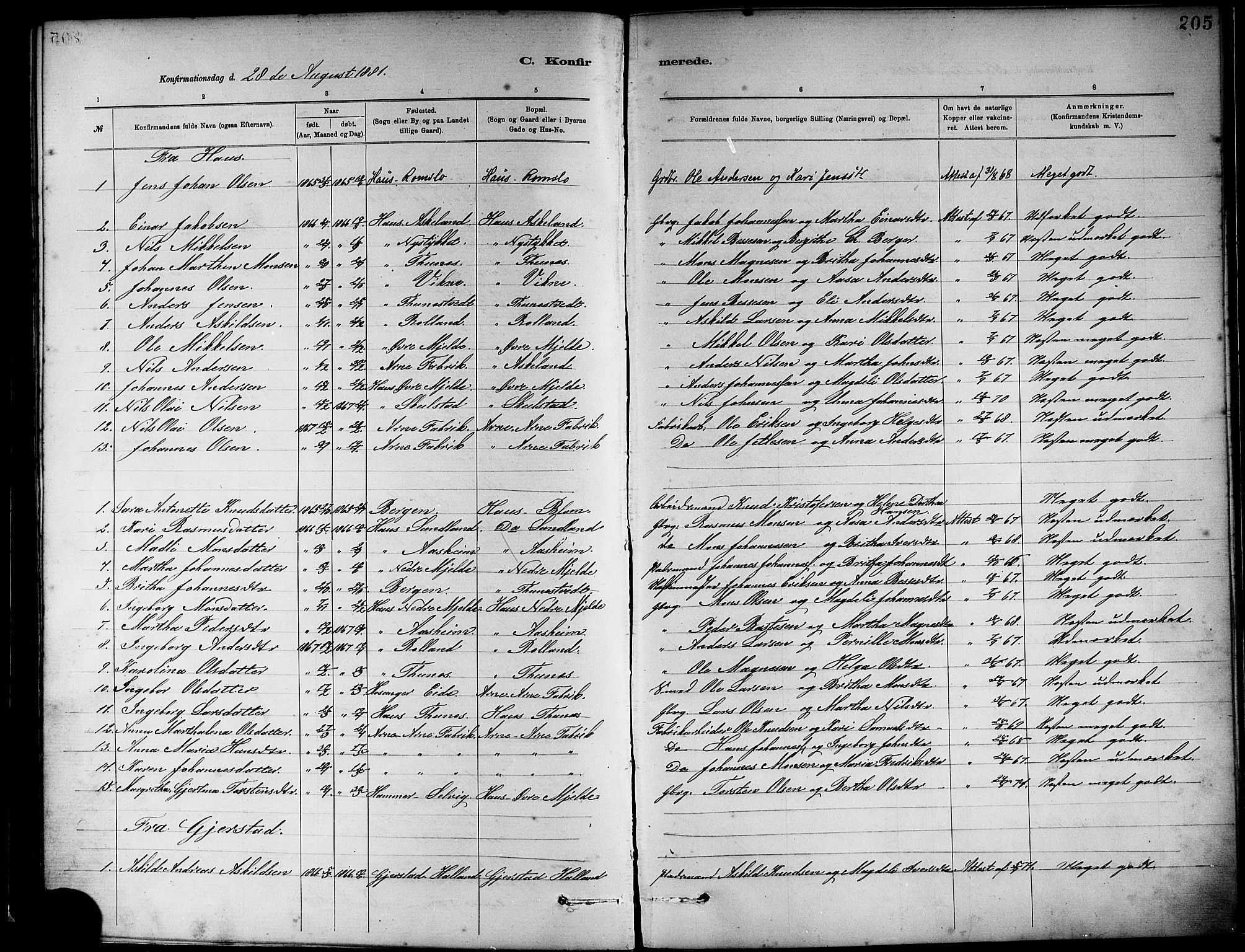 Haus sokneprestembete, AV/SAB-A-75601/H/Haa: Parish register (official) no. A 19I, 1878-1886, p. 205