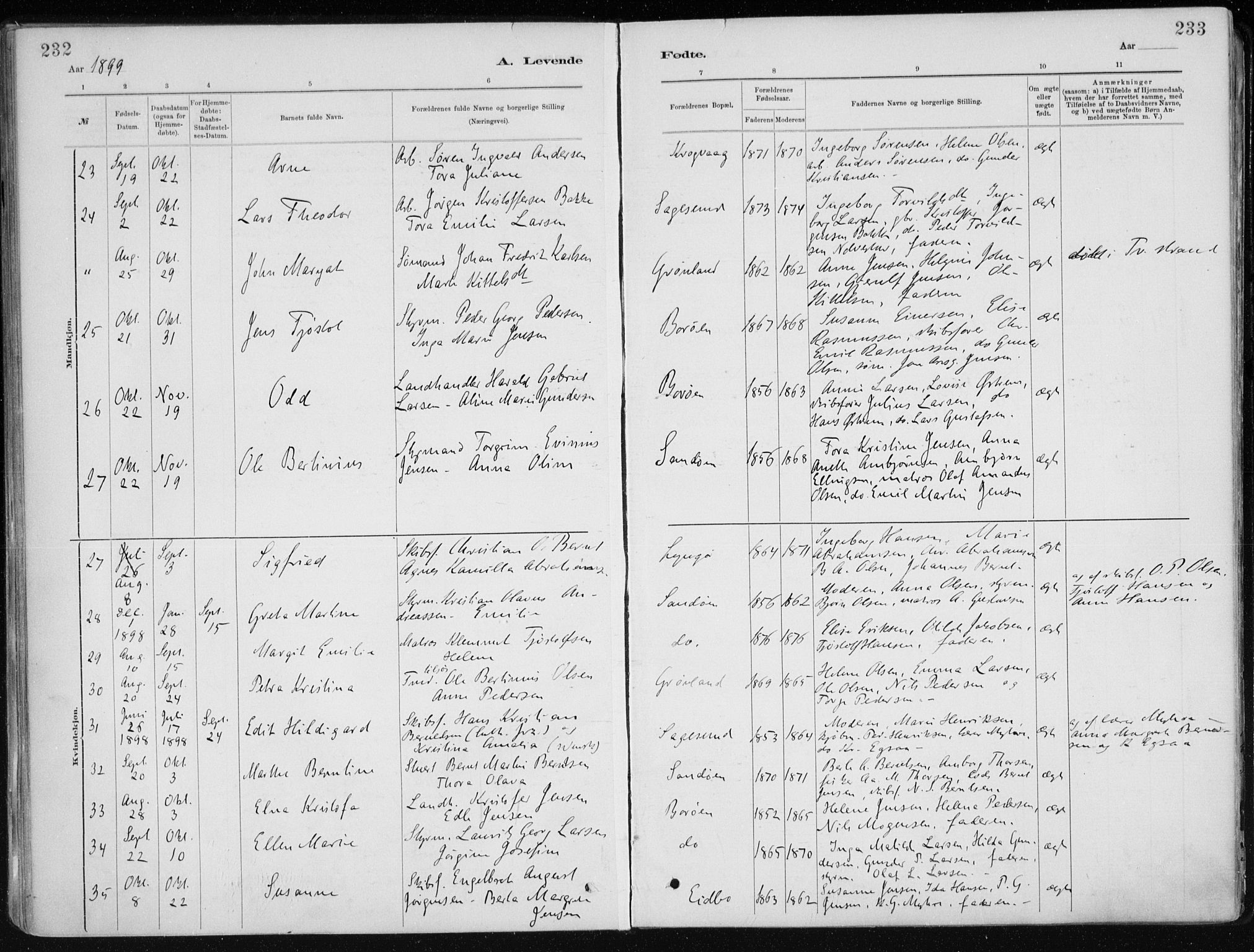 Dypvåg sokneprestkontor, AV/SAK-1111-0007/F/Fa/Faa/L0008: Parish register (official) no. A 8, 1885-1906, p. 232-233