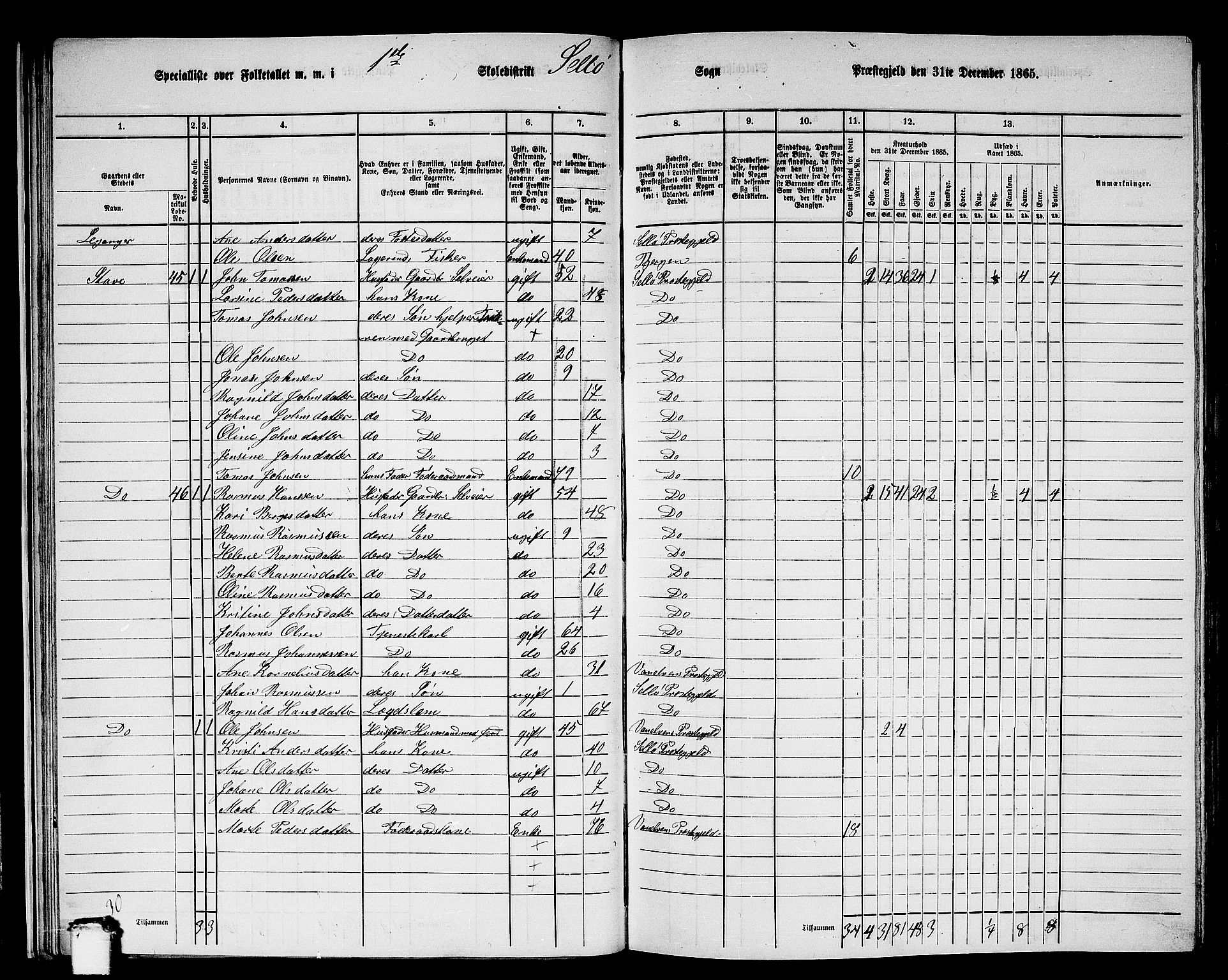 RA, 1865 census for Selje, 1865, p. 33