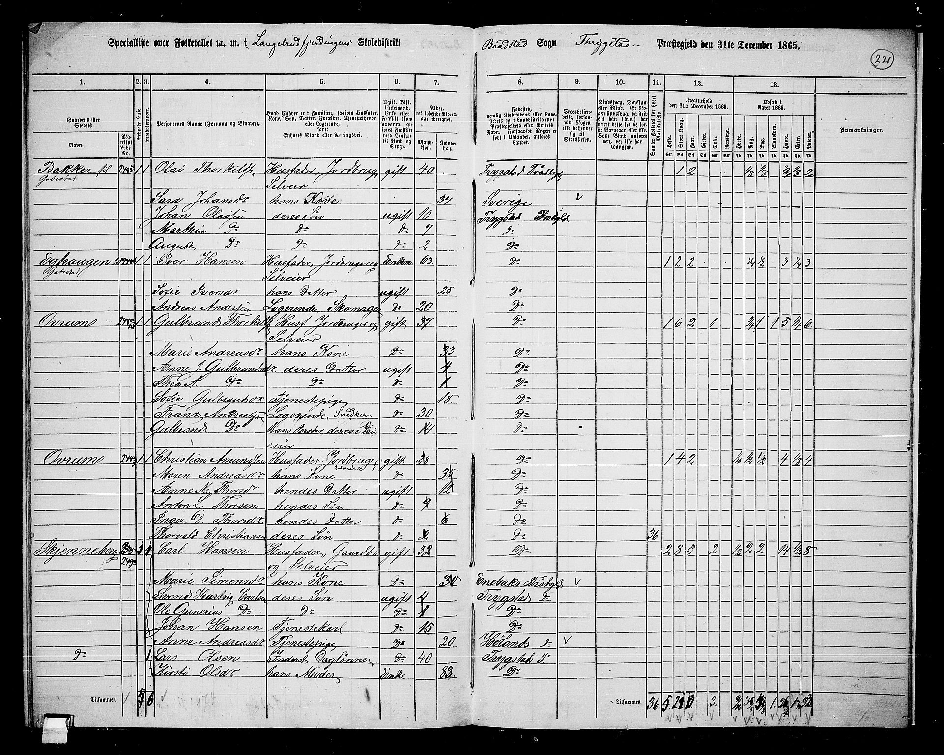 RA, 1865 census for Trøgstad, 1865, p. 196