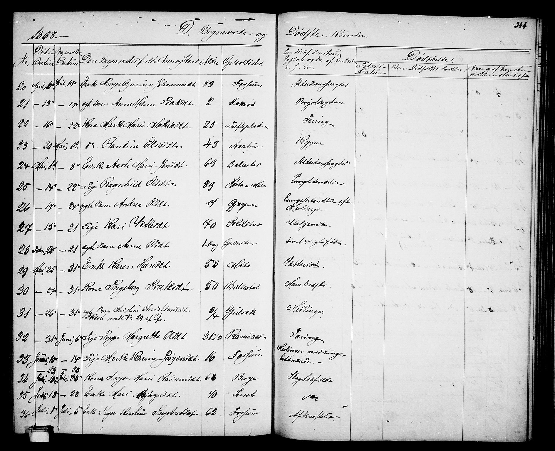 Gjerpen kirkebøker, SAKO/A-265/G/Ga/L0001: Parish register (copy) no. I 1, 1864-1882, p. 344
