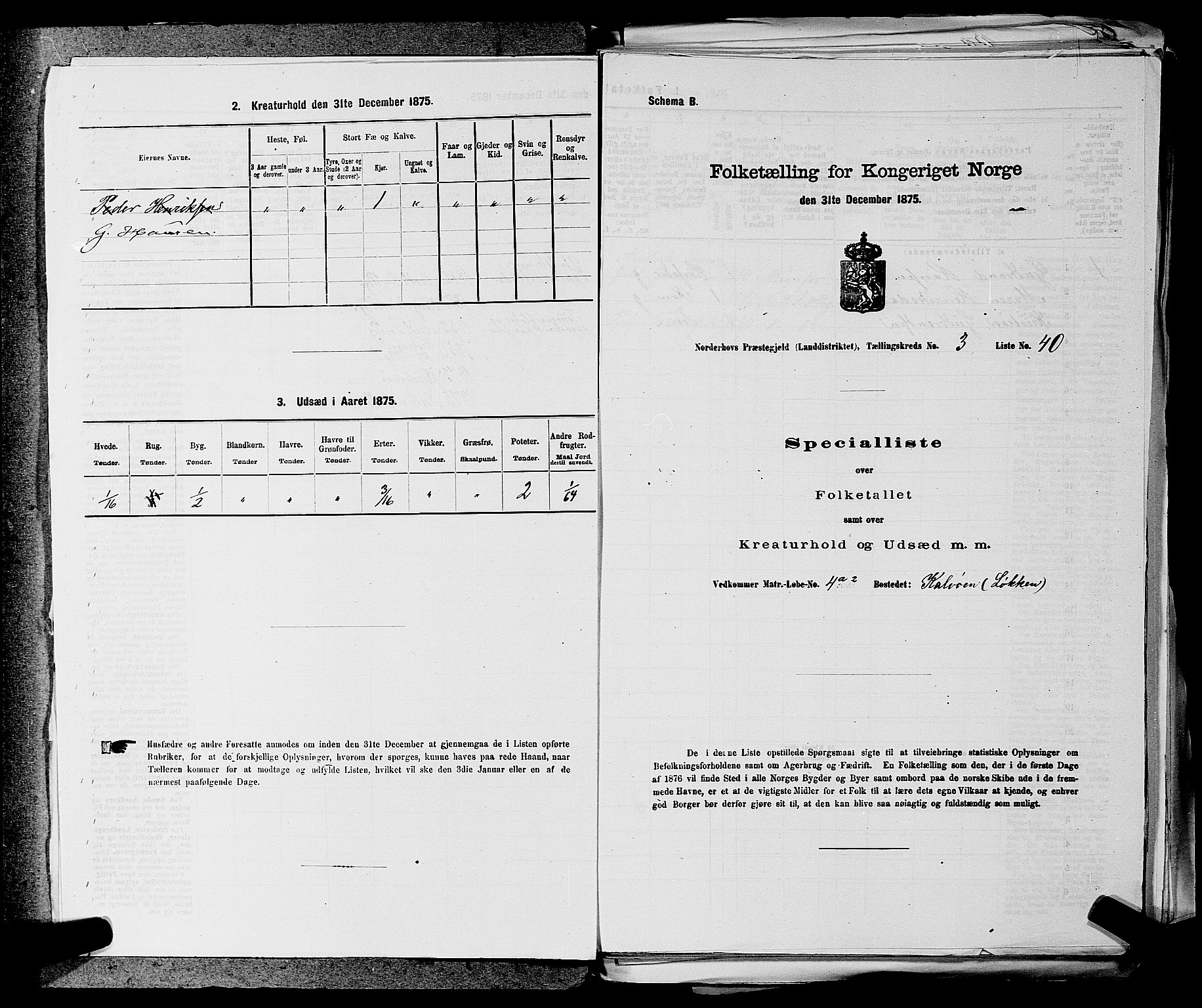 SAKO, 1875 census for 0613L Norderhov/Norderhov, Haug og Lunder, 1875, p. 393