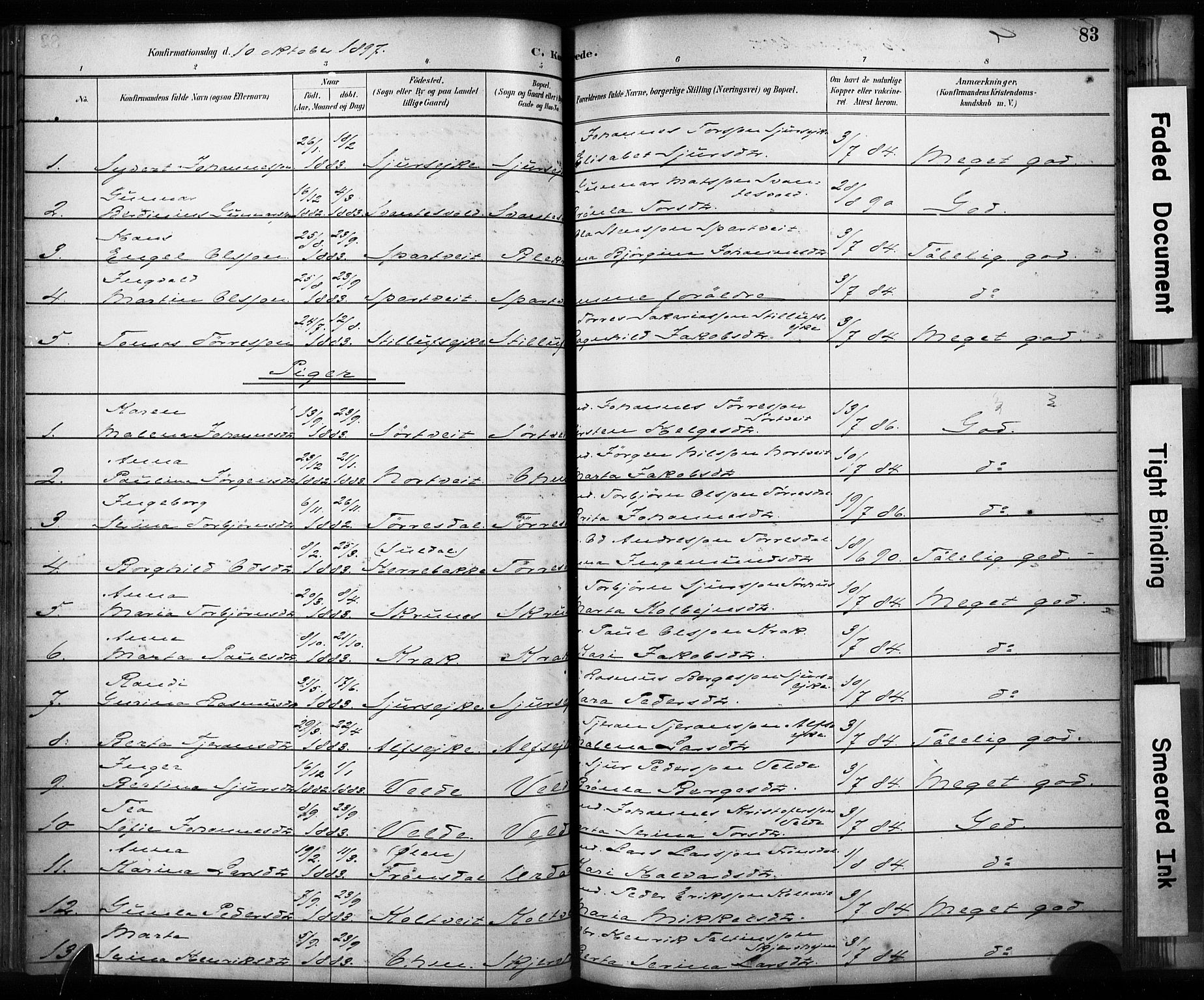 Skjold sokneprestkontor, AV/SAST-A-101847/H/Ha/Haa/L0009: Parish register (official) no. A 9, 1882-1898, p. 83