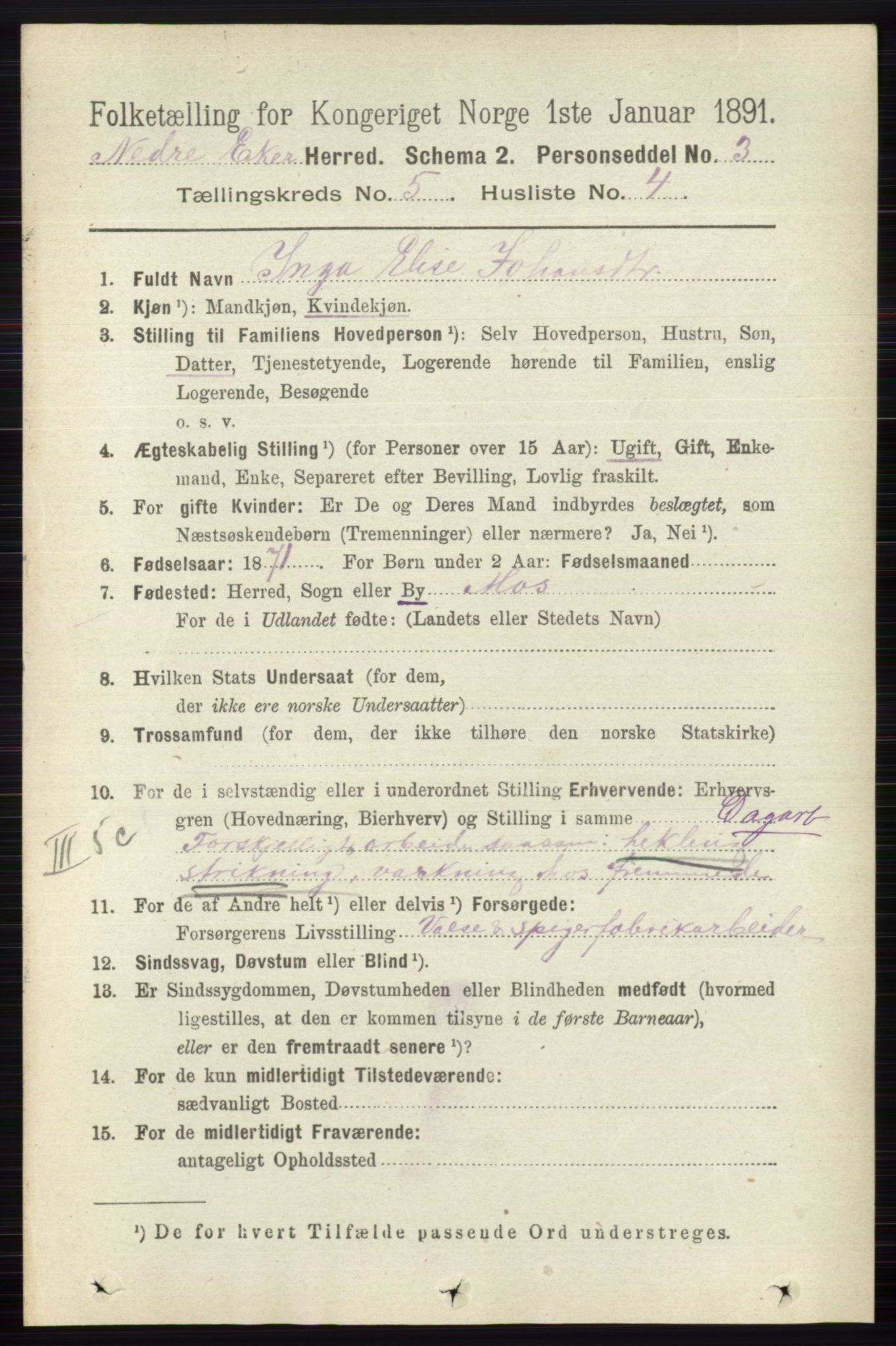 RA, 1891 census for 0625 Nedre Eiker, 1891, p. 2352