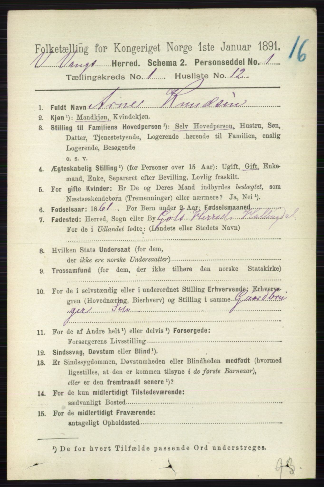 RA, 1891 census for 0545 Vang, 1891, p. 146