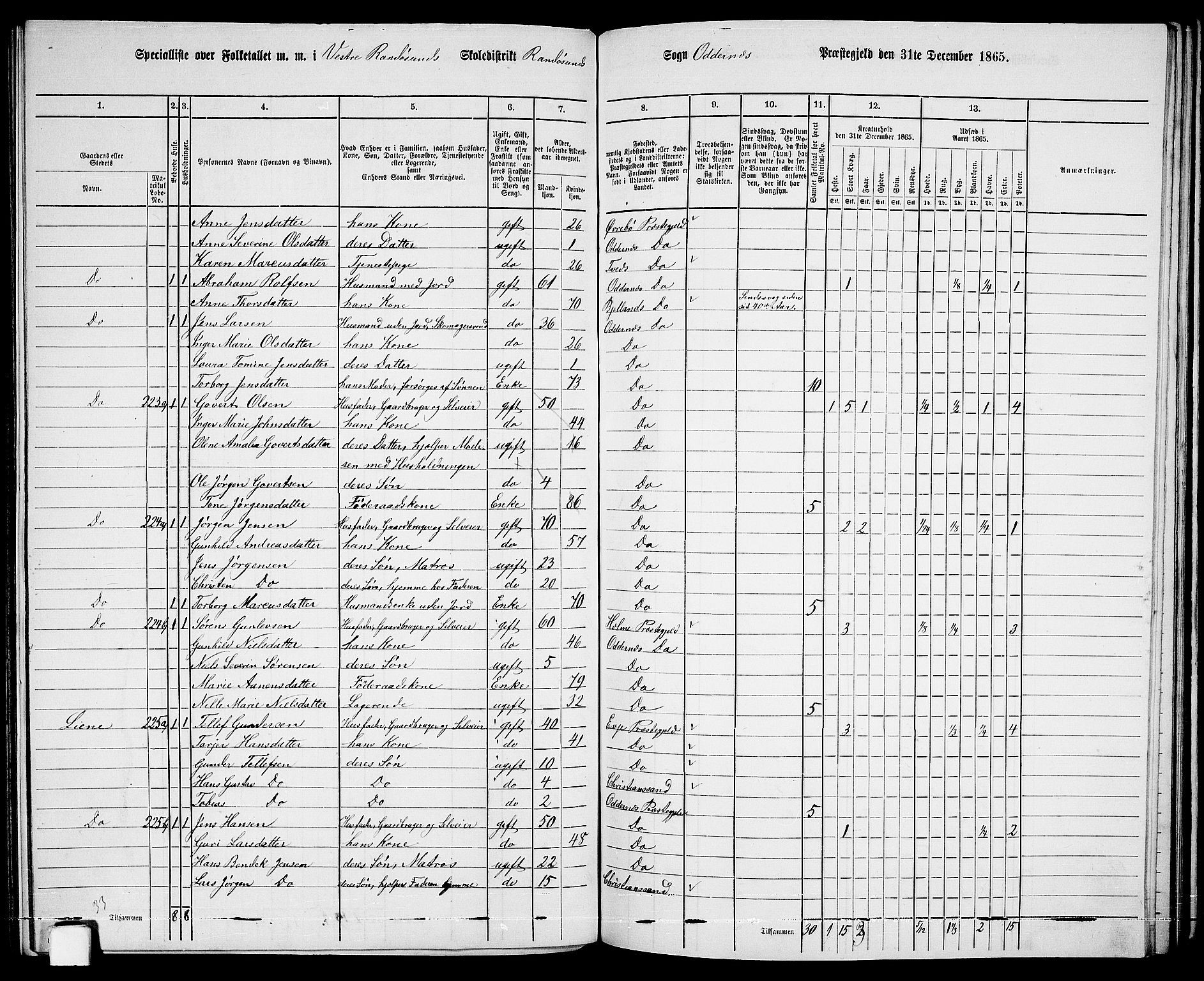 RA, 1865 census for Oddernes, 1865, p. 119