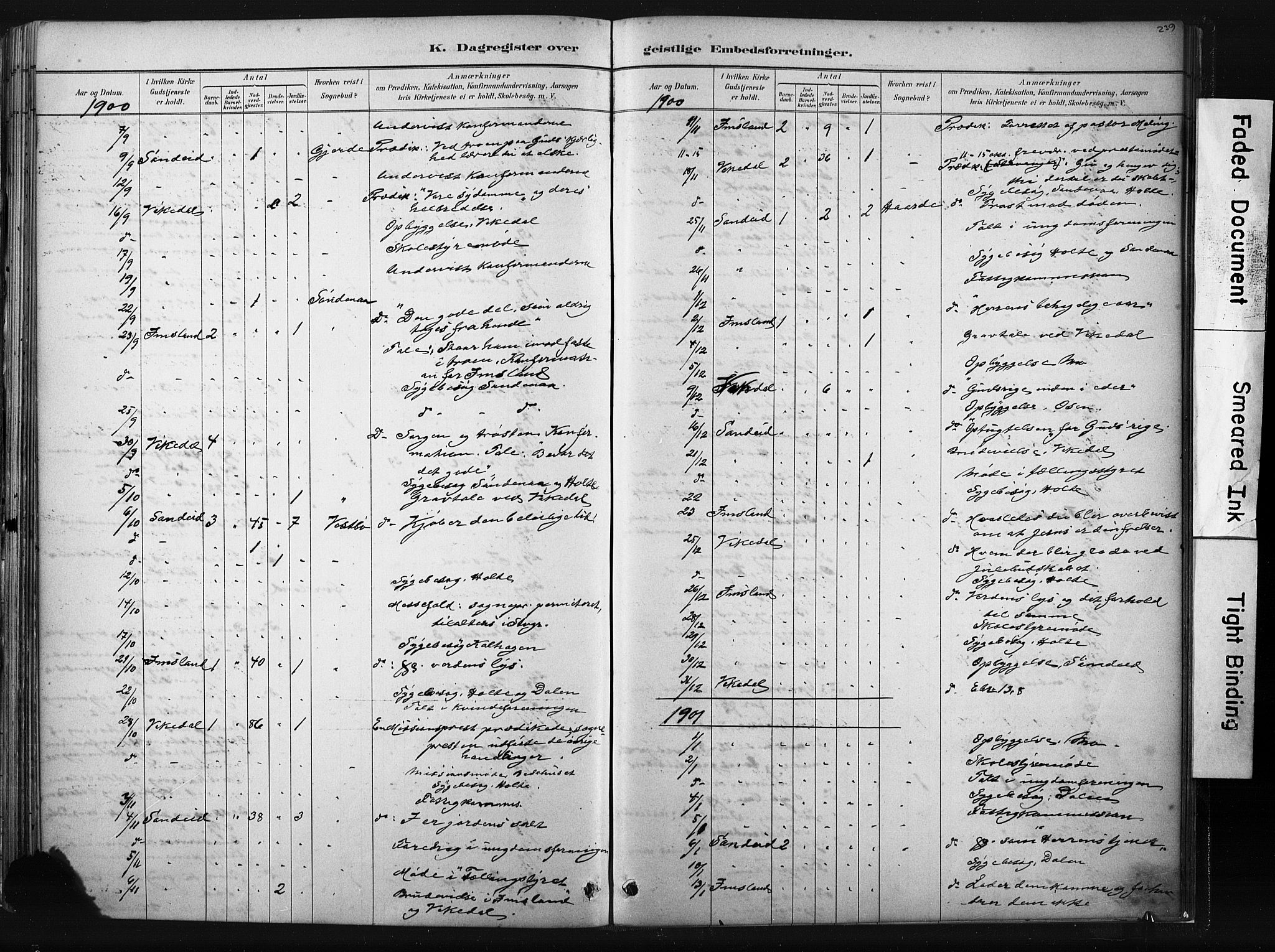 Vikedal sokneprestkontor, AV/SAST-A-101840/01/IV: Parish register (official) no. A 10, 1884-1907, p. 239