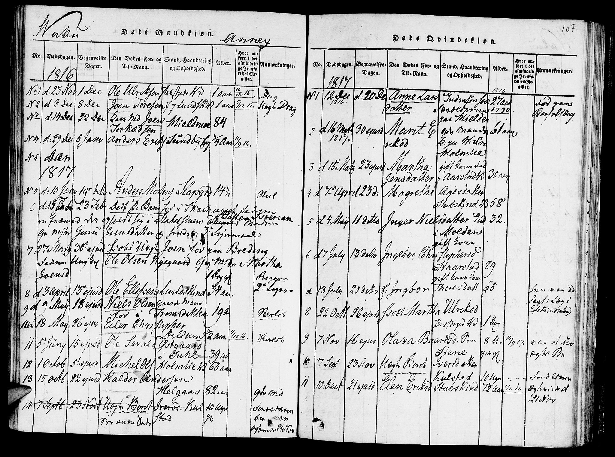 Ministerialprotokoller, klokkerbøker og fødselsregistre - Nord-Trøndelag, AV/SAT-A-1458/723/L0234: Parish register (official) no. 723A05 /2, 1816-1821, p. 107