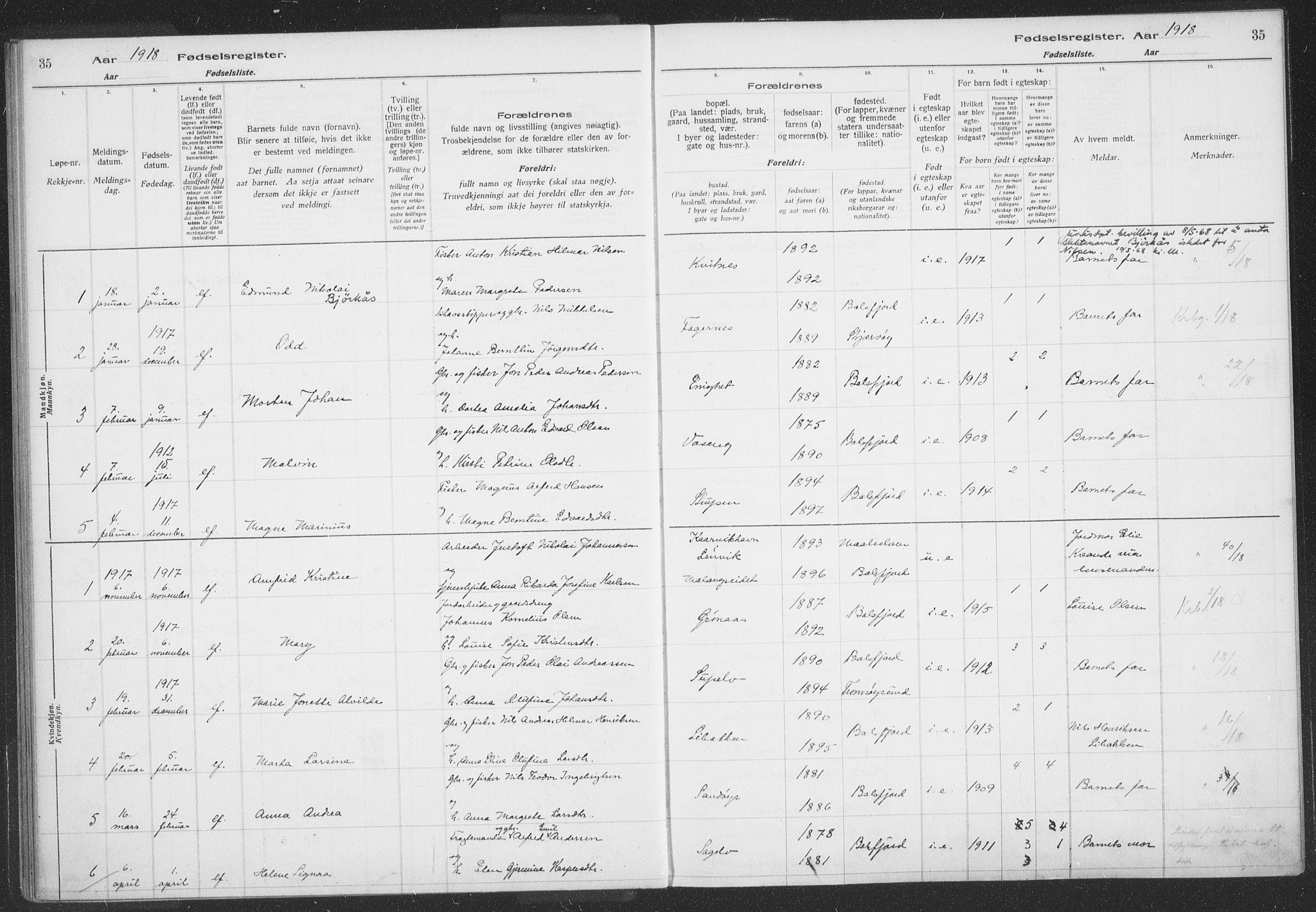 Balsfjord sokneprestembete, SATØ/S-1303/H/Hb/L0059: Birth register no. 59, 1916-1930, p. 35
