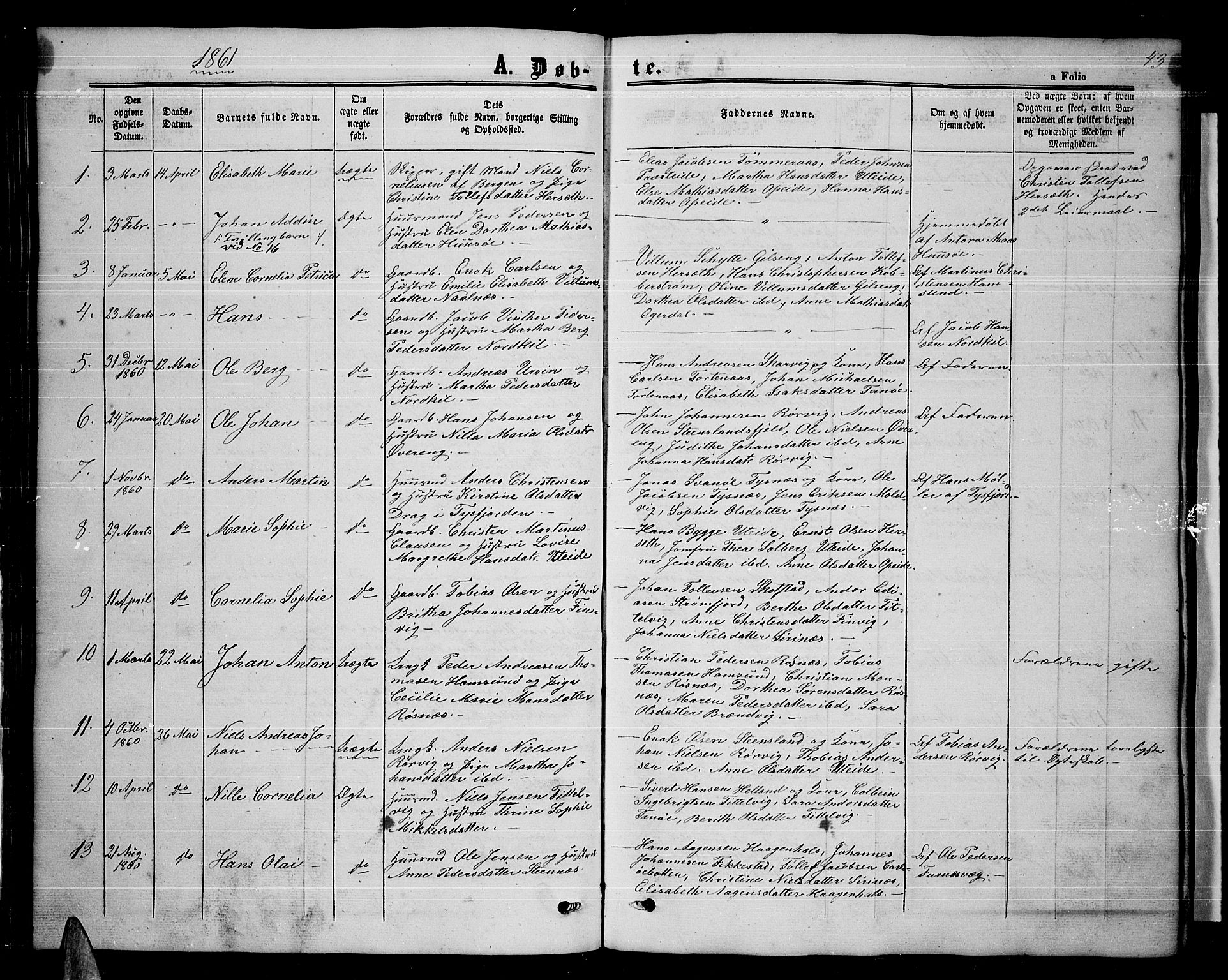 Ministerialprotokoller, klokkerbøker og fødselsregistre - Nordland, AV/SAT-A-1459/859/L0857: Parish register (copy) no. 859C03, 1854-1873, p. 43