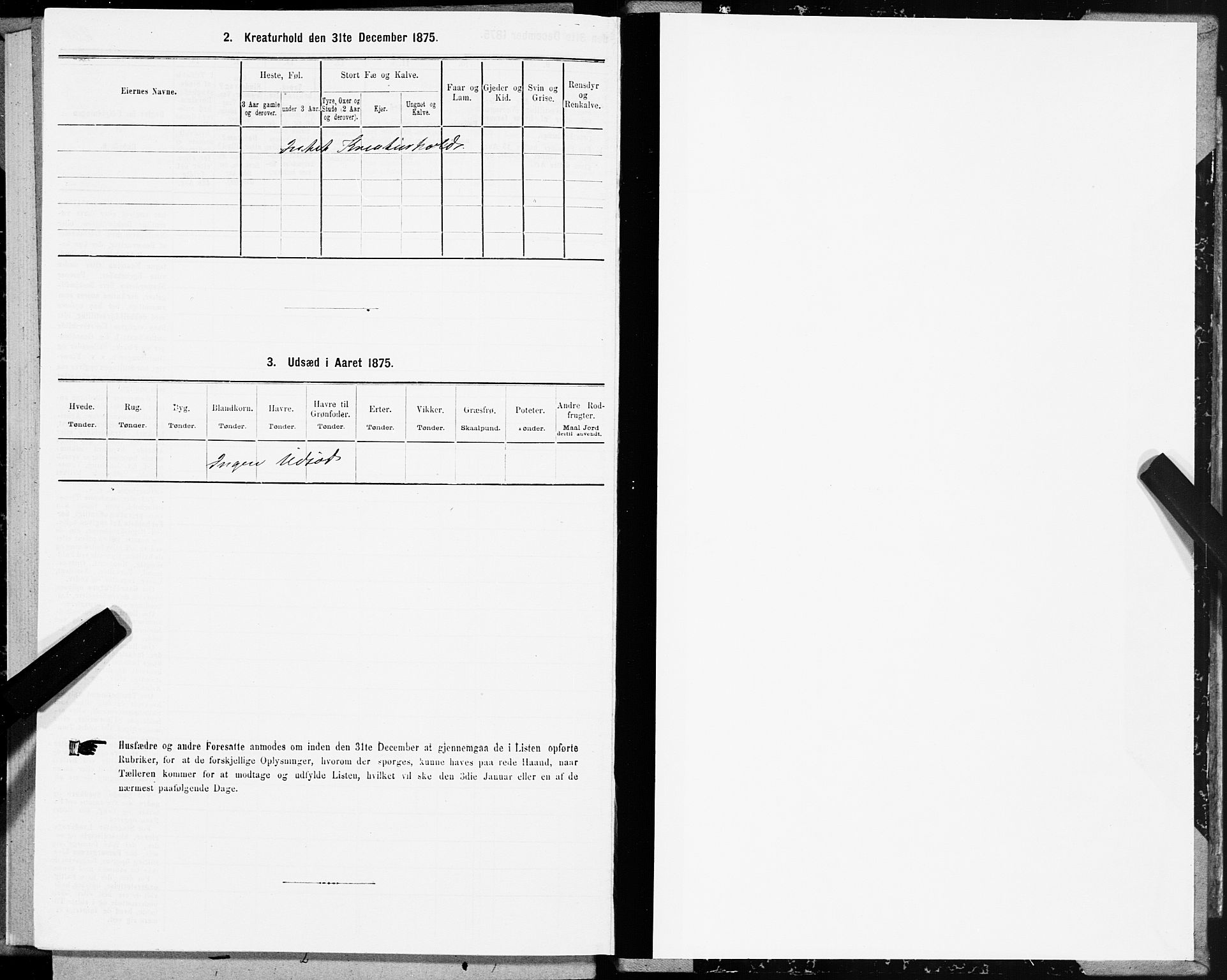 SAT, 1875 census for 1648P Støren, 1875