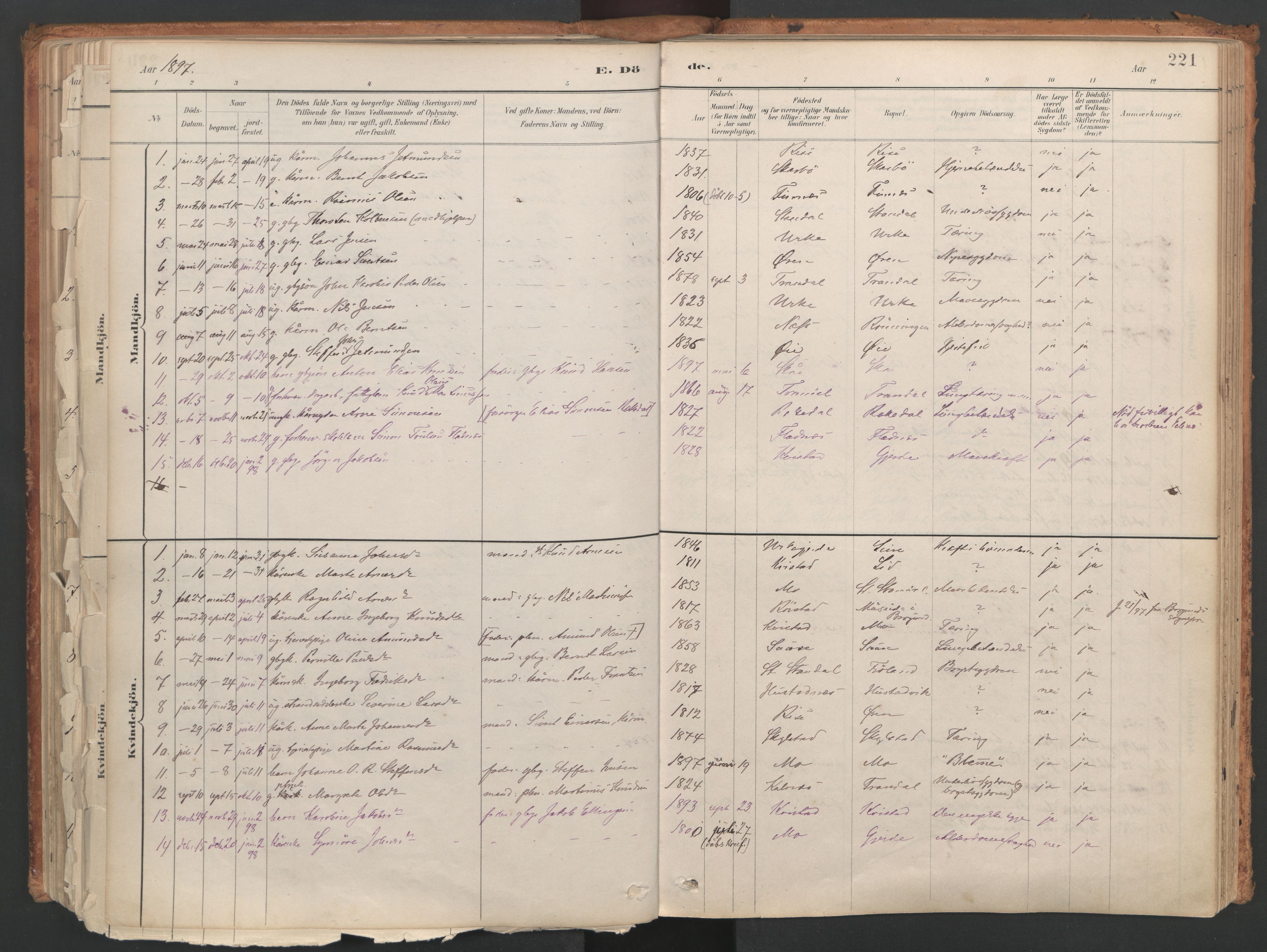 Ministerialprotokoller, klokkerbøker og fødselsregistre - Møre og Romsdal, SAT/A-1454/515/L0211: Parish register (official) no. 515A07, 1886-1910, p. 221