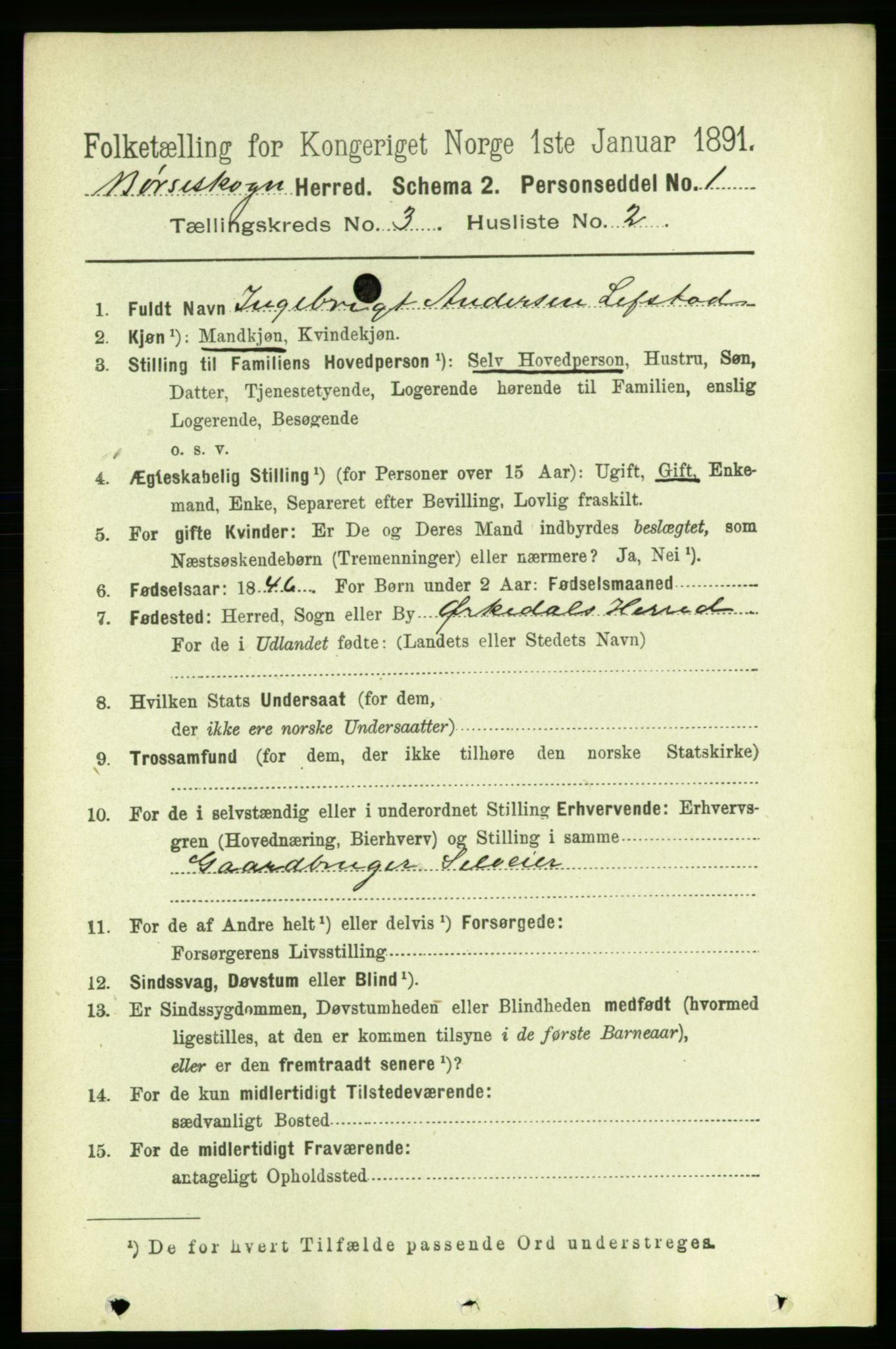 RA, 1891 census for 1657 Børseskogn, 1891, p. 1352