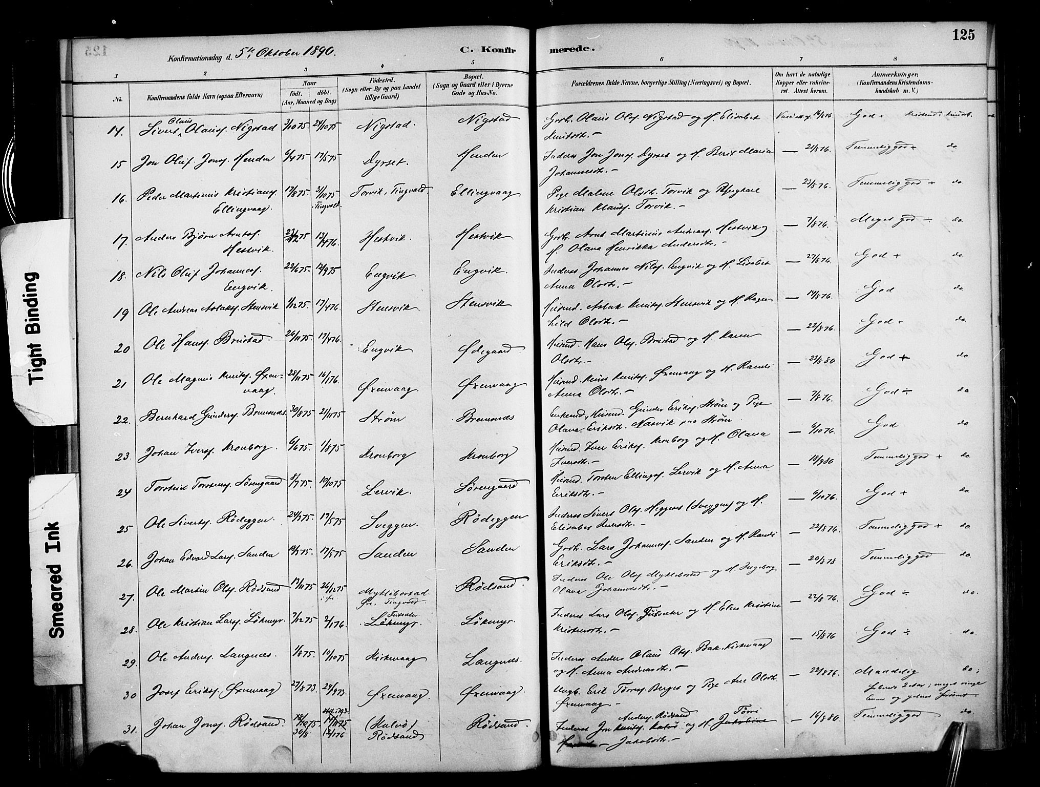 Ministerialprotokoller, klokkerbøker og fødselsregistre - Møre og Romsdal, AV/SAT-A-1454/569/L0819: Parish register (official) no. 569A05, 1885-1899, p. 125