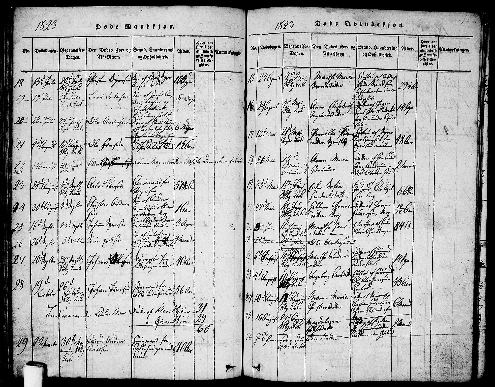 Skjeberg prestekontor Kirkebøker, SAO/A-10923/F/Fa/L0004: Parish register (official) no. I 4, 1815-1830, p. 119