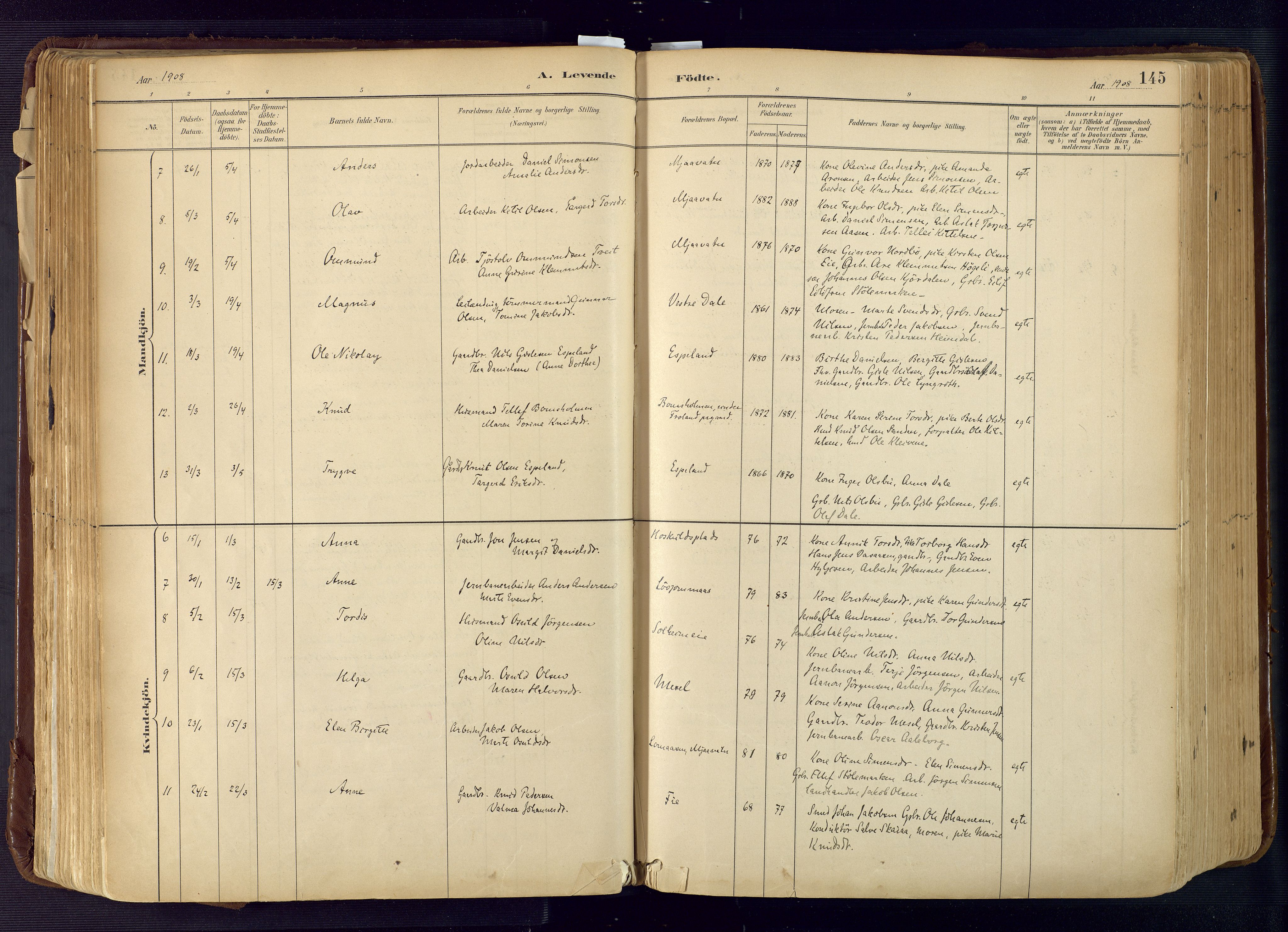 Froland sokneprestkontor, SAK/1111-0013/F/Fa/L0005: Parish register (official) no. A 5, 1882-1921, p. 145