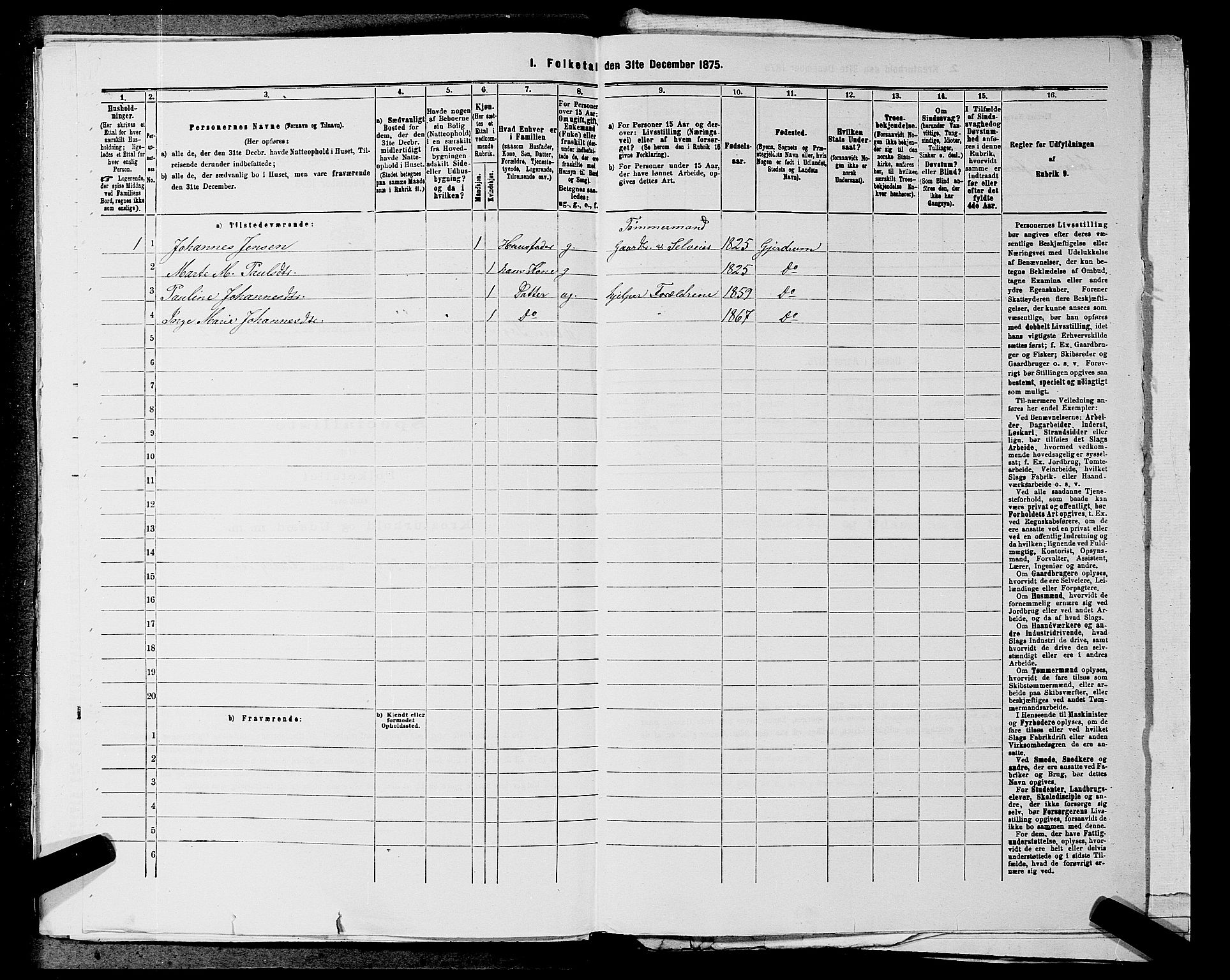 RA, 1875 census for 0234P Gjerdrum, 1875, p. 378