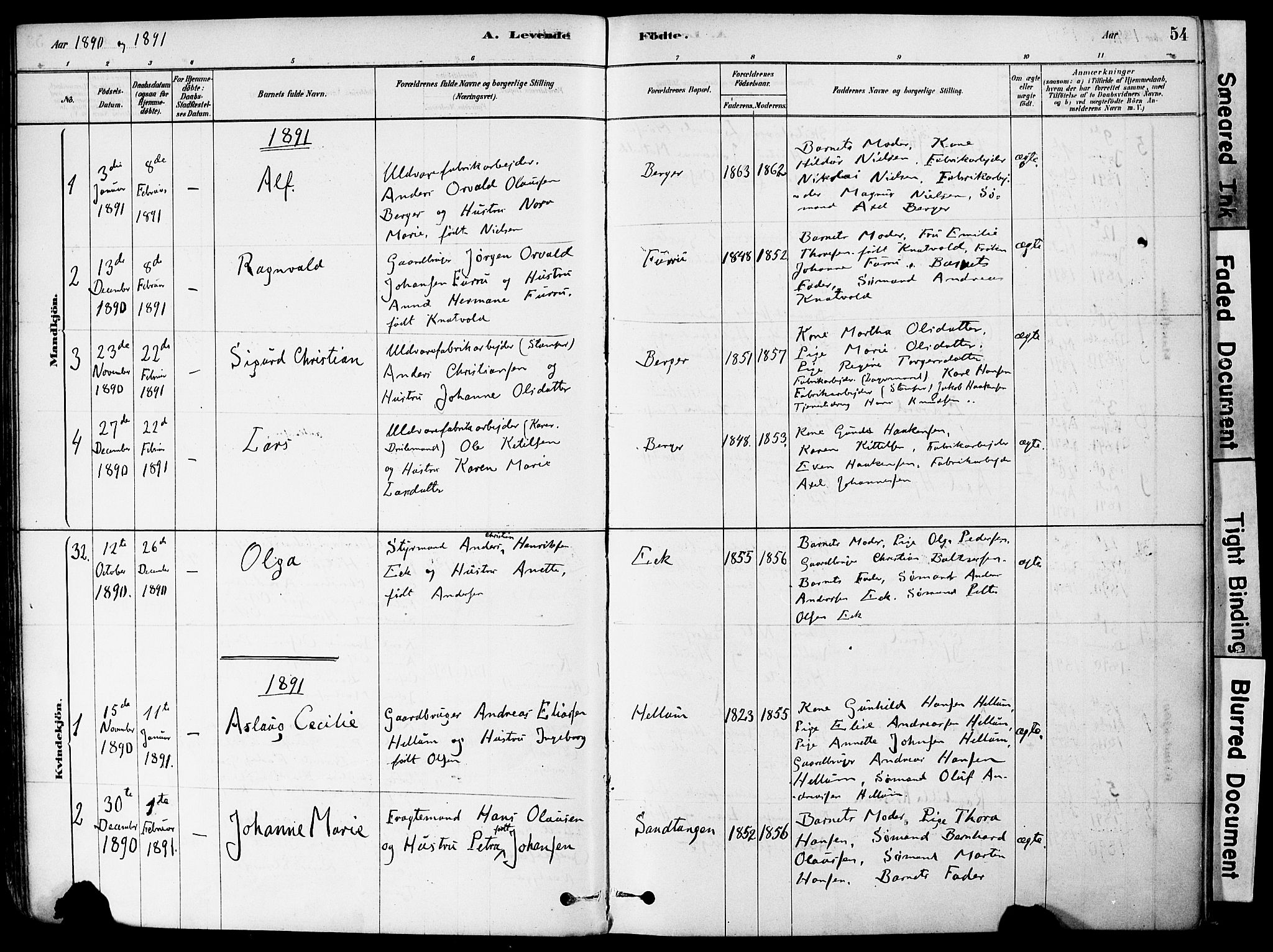 Strømm kirkebøker, AV/SAKO-A-322/F/Fa/L0004: Parish register (official) no. I 4, 1878-1899, p. 54