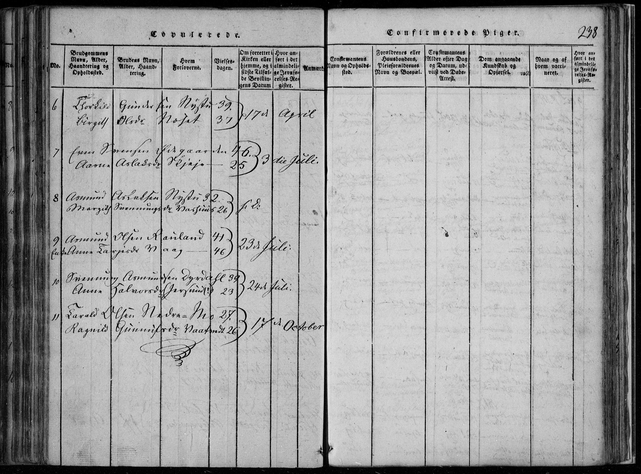 Rauland kirkebøker, AV/SAKO-A-292/F/Fa/L0001: Parish register (official) no. I 1, 1814-1859, p. 238