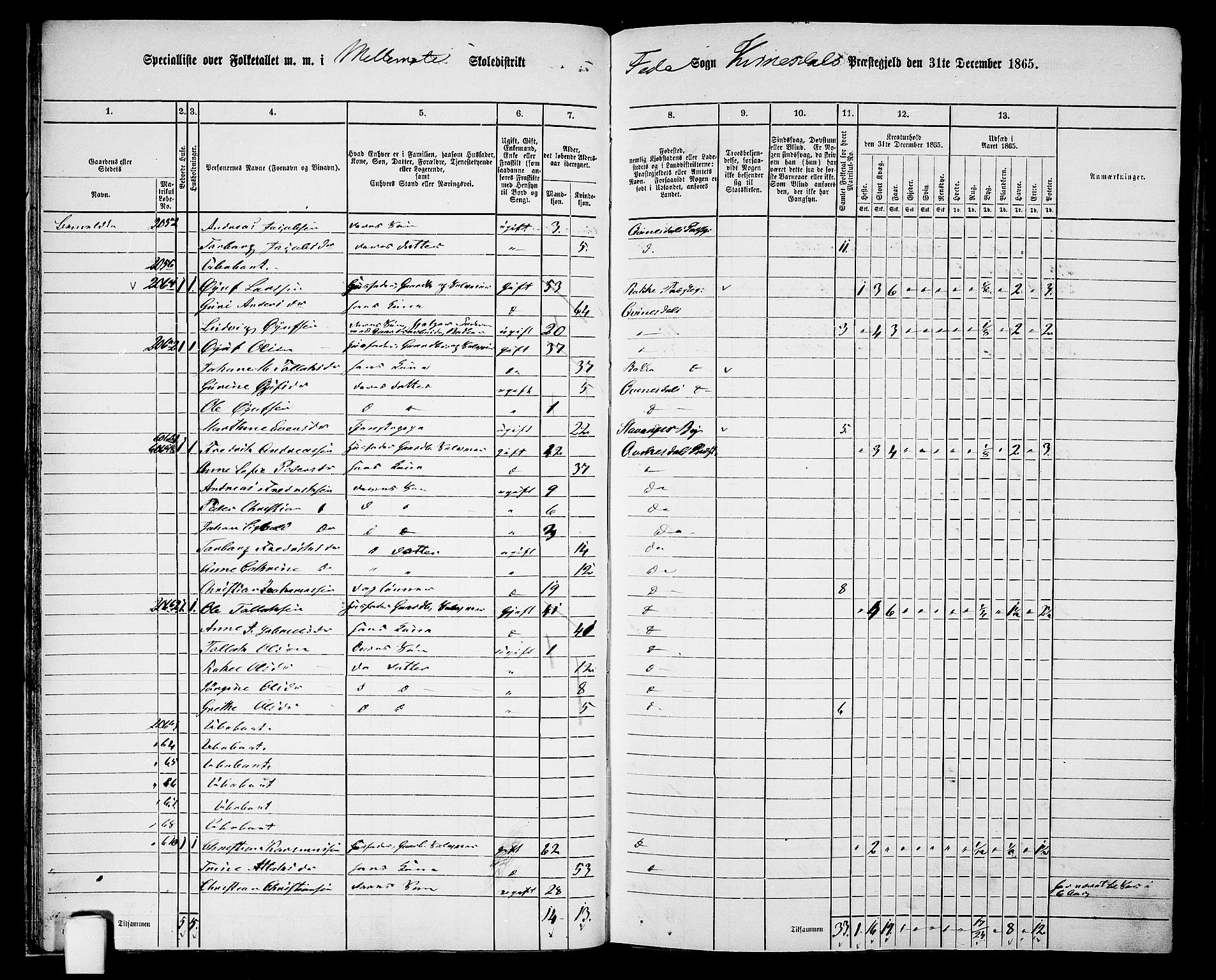 RA, 1865 census for Kvinesdal, 1865, p. 36