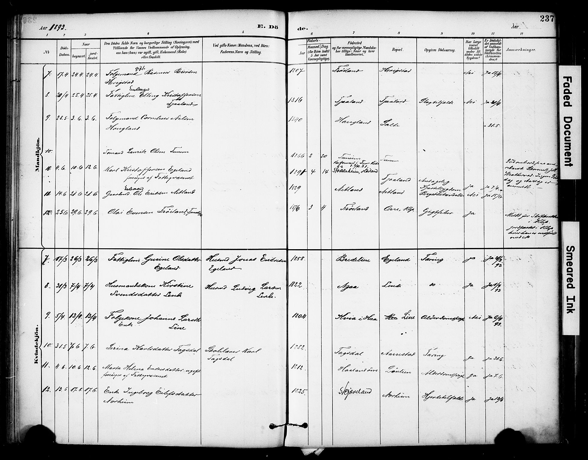 Lye sokneprestkontor, AV/SAST-A-101794/001/30BA/L0011: Parish register (official) no. A 9, 1893-1903, p. 237