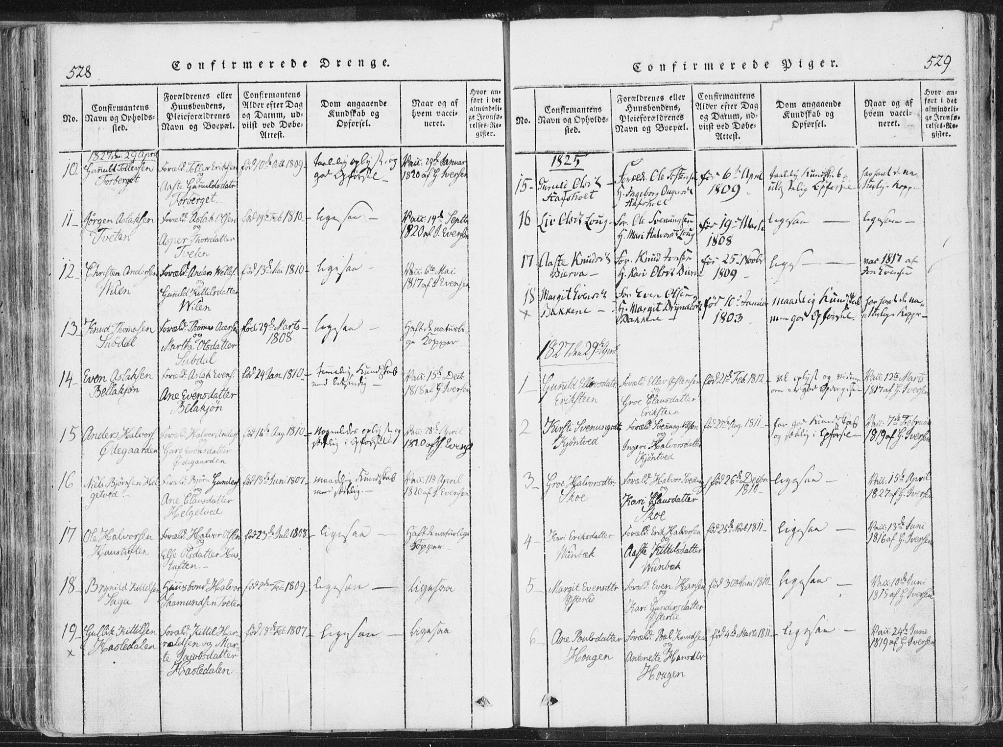Bø kirkebøker, SAKO/A-257/F/Fa/L0006: Parish register (official) no. 6, 1815-1831, p. 528-529