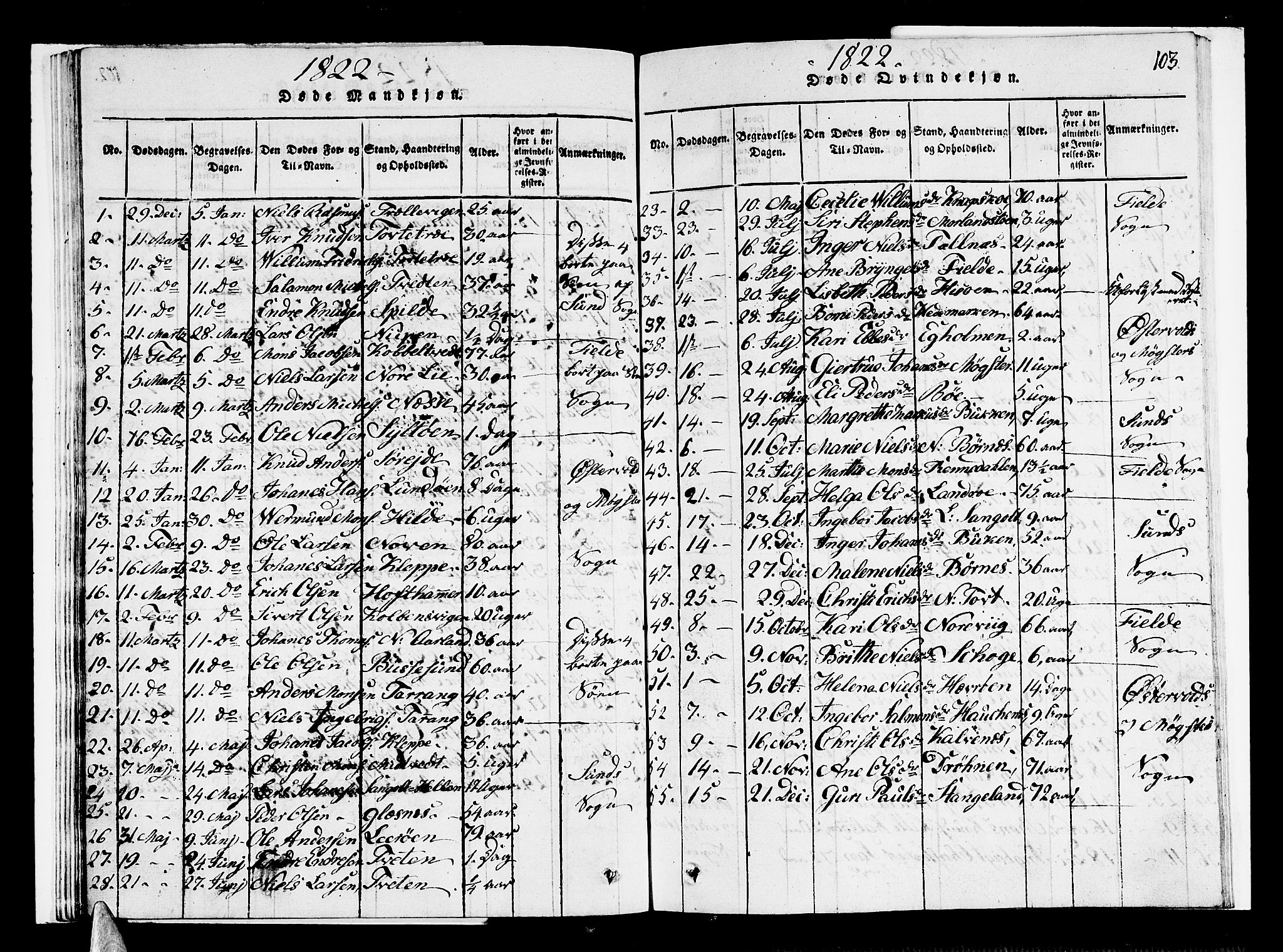 Sund sokneprestembete, AV/SAB-A-99930: Parish register (copy) no. A 1, 1816-1827, p. 103