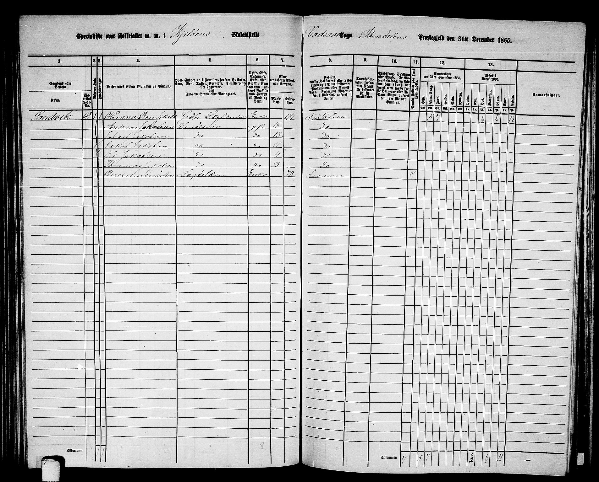 RA, 1865 census for Bindal, 1865, p. 73