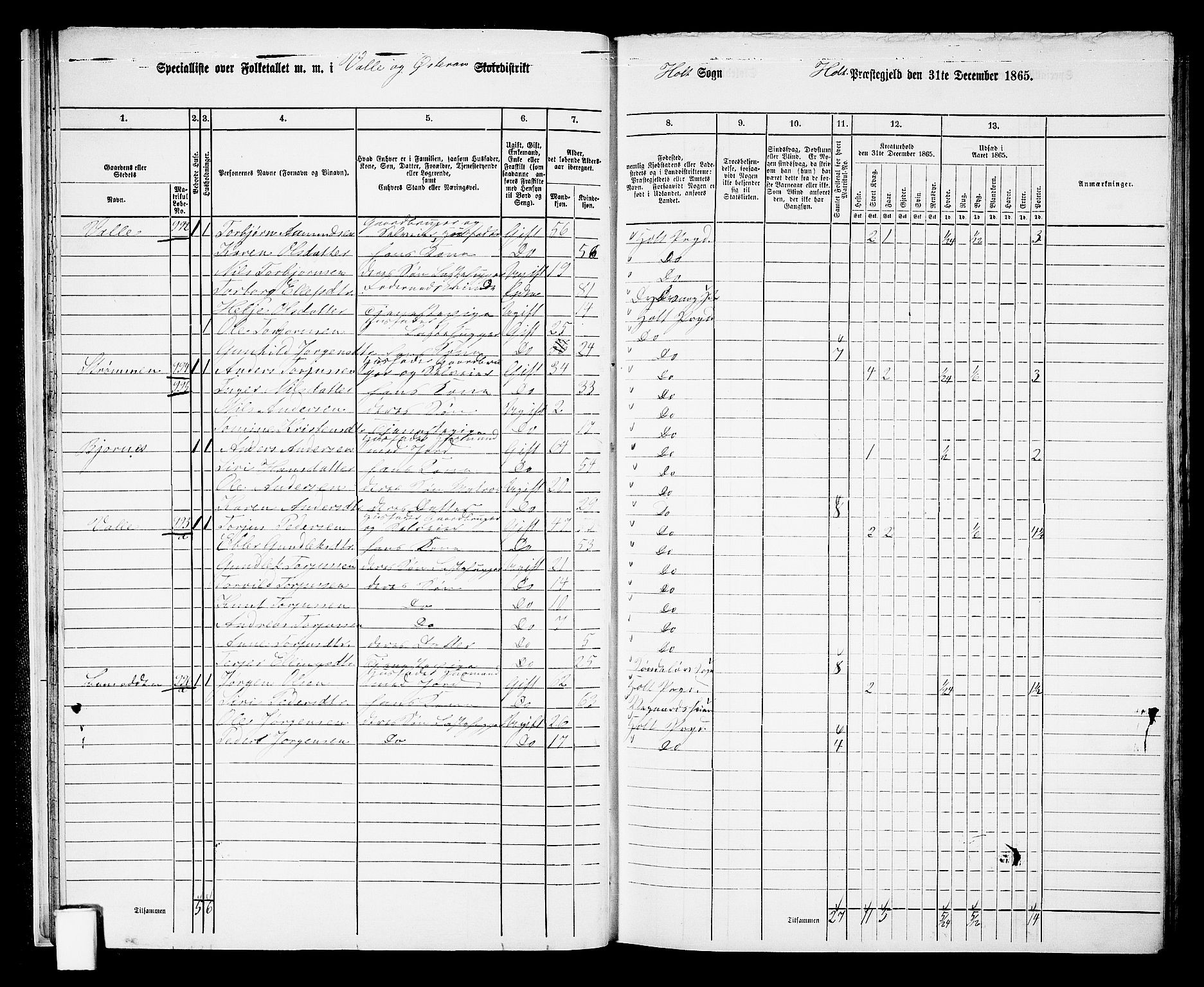 RA, 1865 census for Holt/Holt, 1865, p. 26