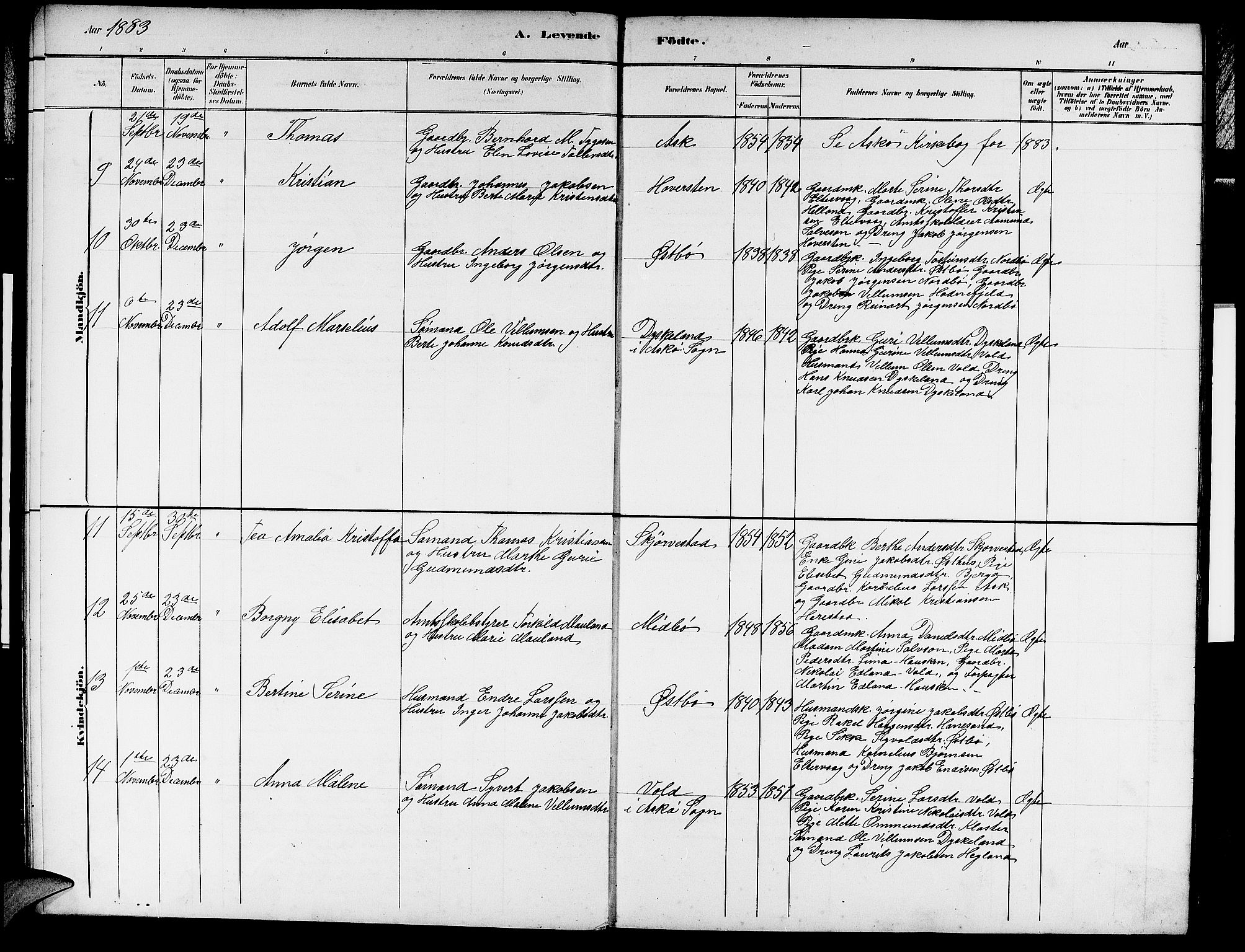 Rennesøy sokneprestkontor, AV/SAST-A -101827/H/Ha/Hab/L0007: Parish register (copy) no. B 7, 1881-1890