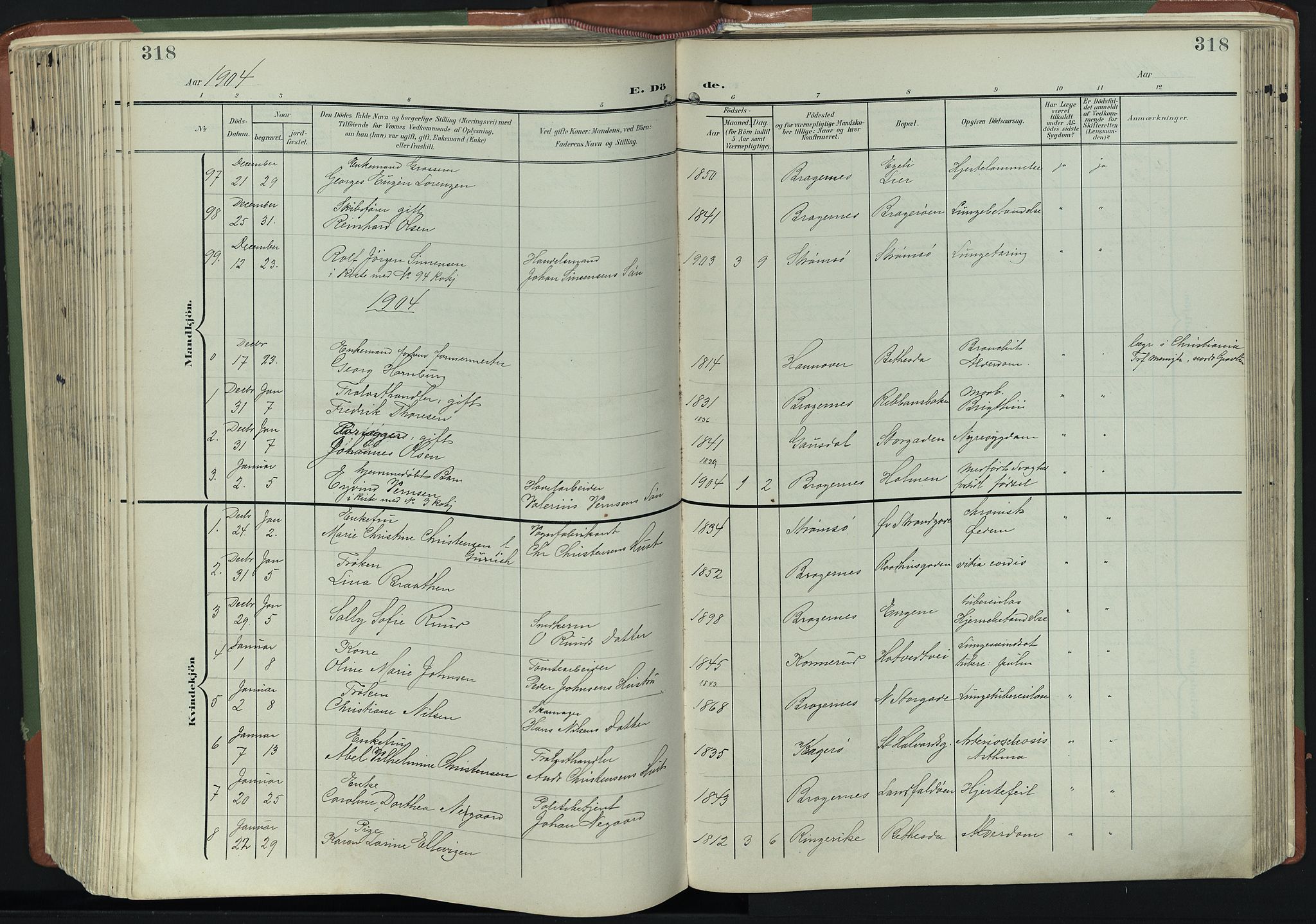 Bragernes kirkebøker, AV/SAKO-A-6/F/Fb/L0009: Parish register (official) no. II 9, 1902-1911, p. 318