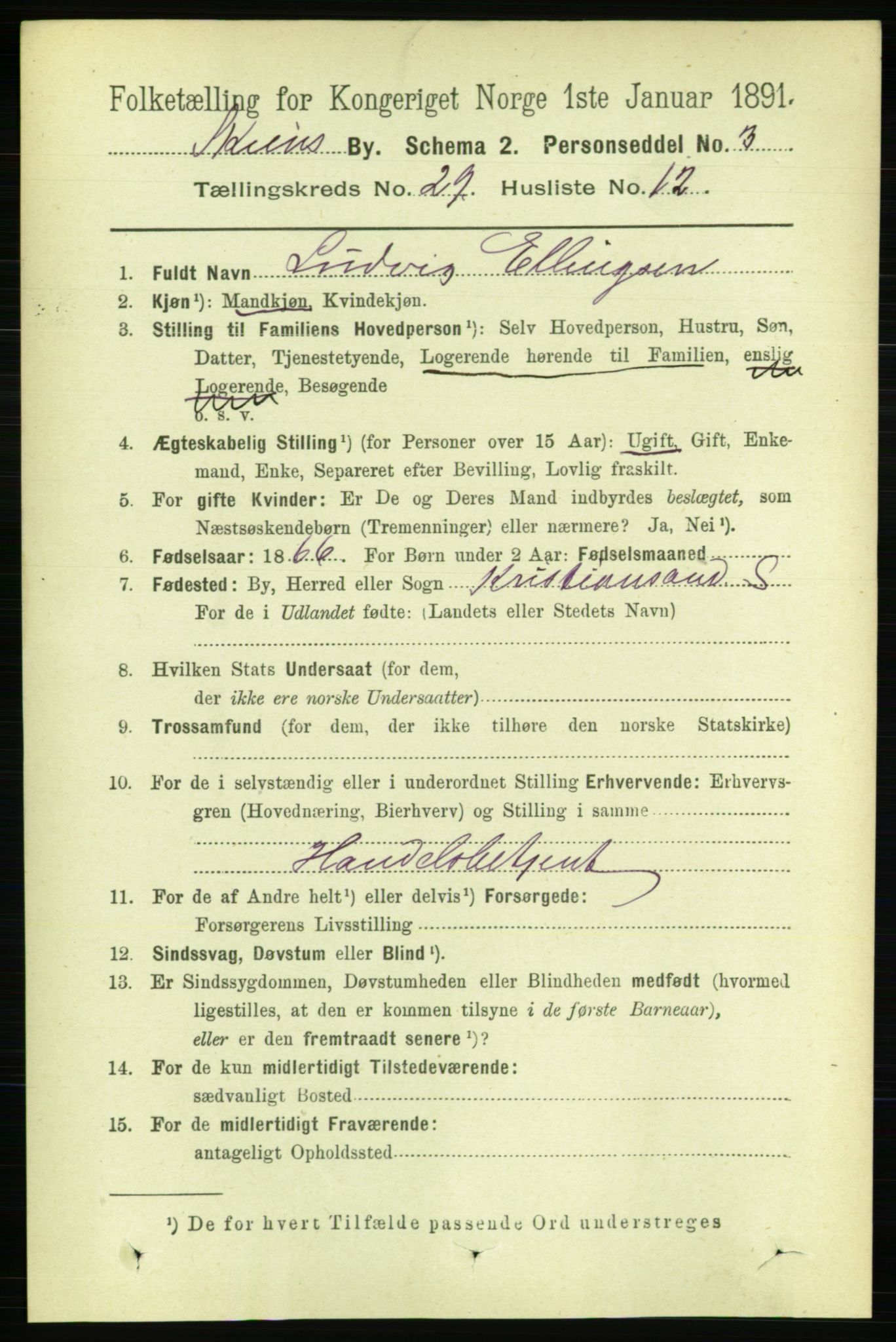 RA, 1891 census for 0806 Skien, 1891, p. 6799