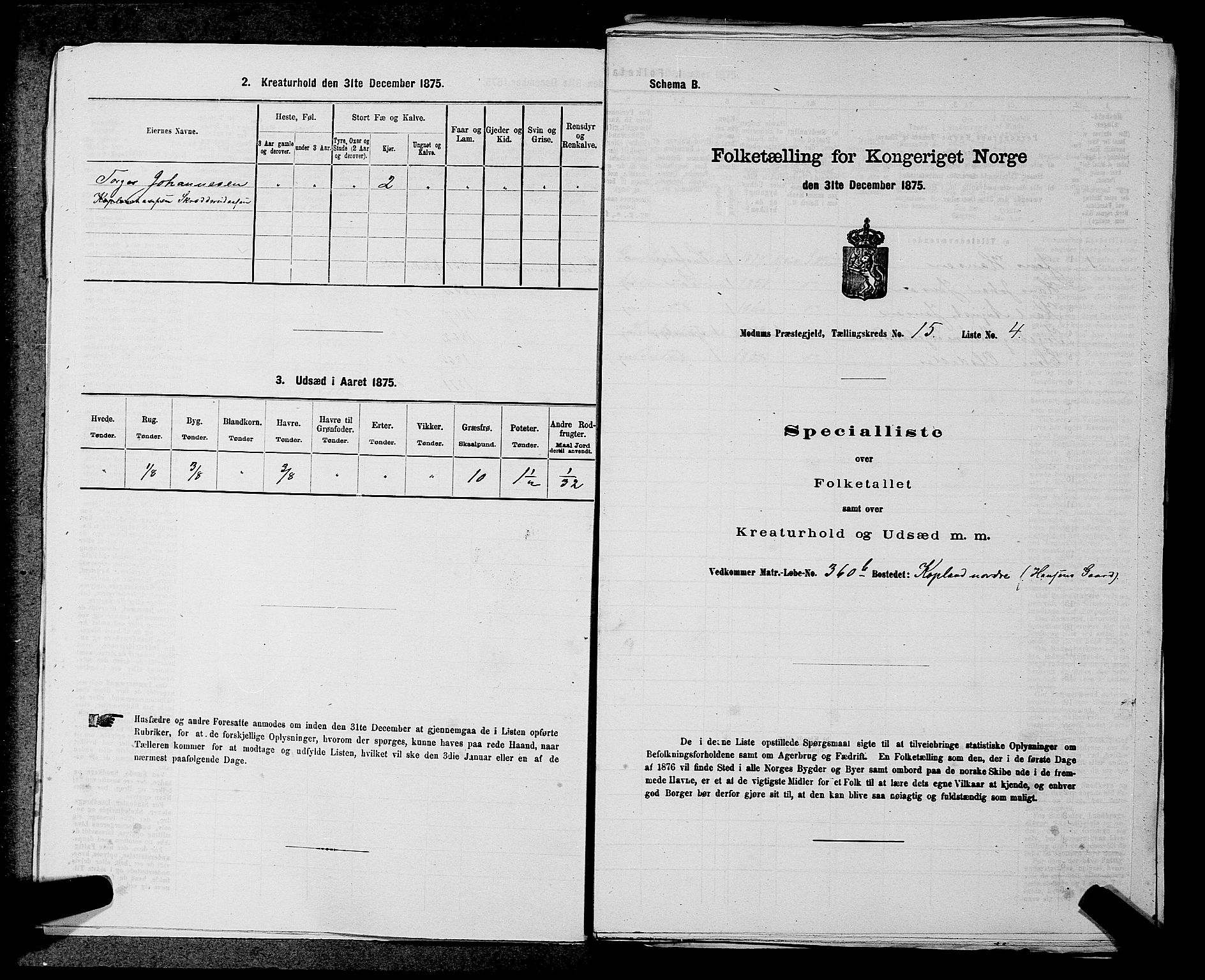 SAKO, 1875 census for 0623P Modum, 1875, p. 1785