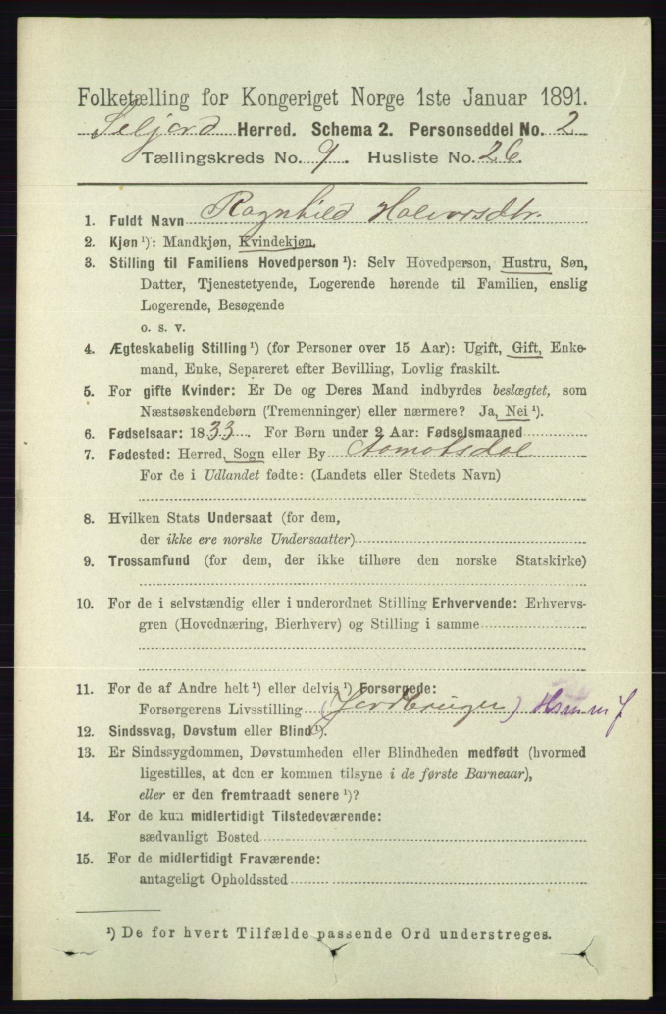 RA, 1891 census for 0828 Seljord, 1891, p. 3313