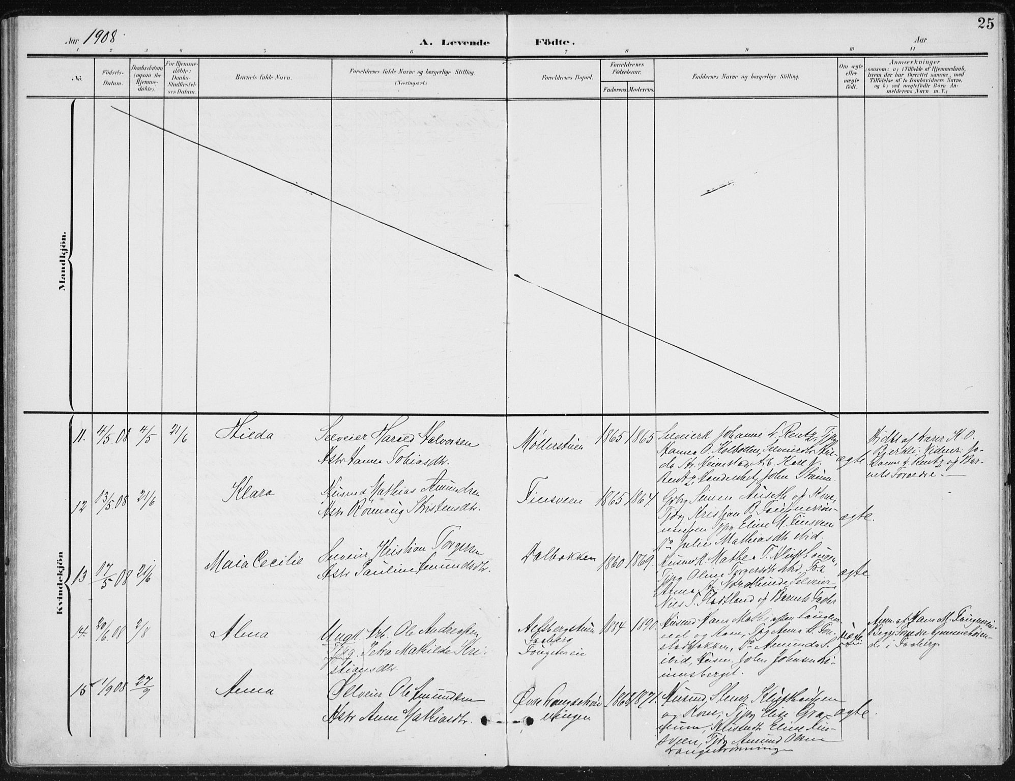 Østre Gausdal prestekontor, AV/SAH-PREST-092/H/Ha/Haa/L0005: Parish register (official) no. 5, 1902-1920, p. 25