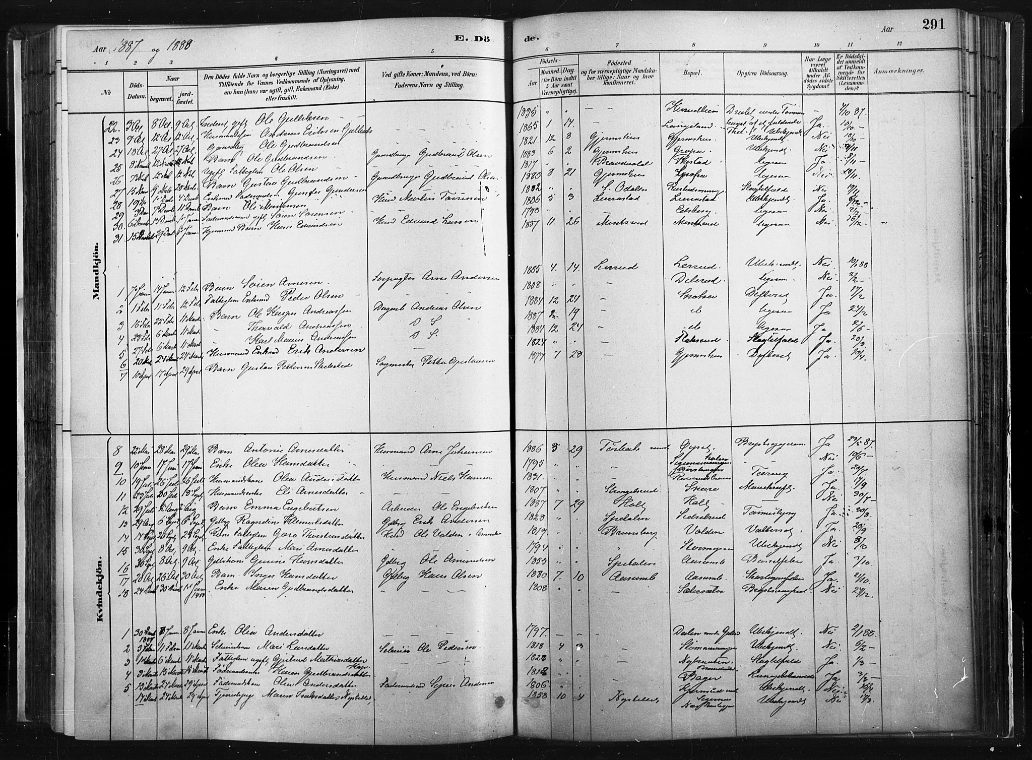 Vinger prestekontor, AV/SAH-PREST-024/H/Ha/Haa/L0014: Parish register (official) no. 14, 1881-1900, p. 291