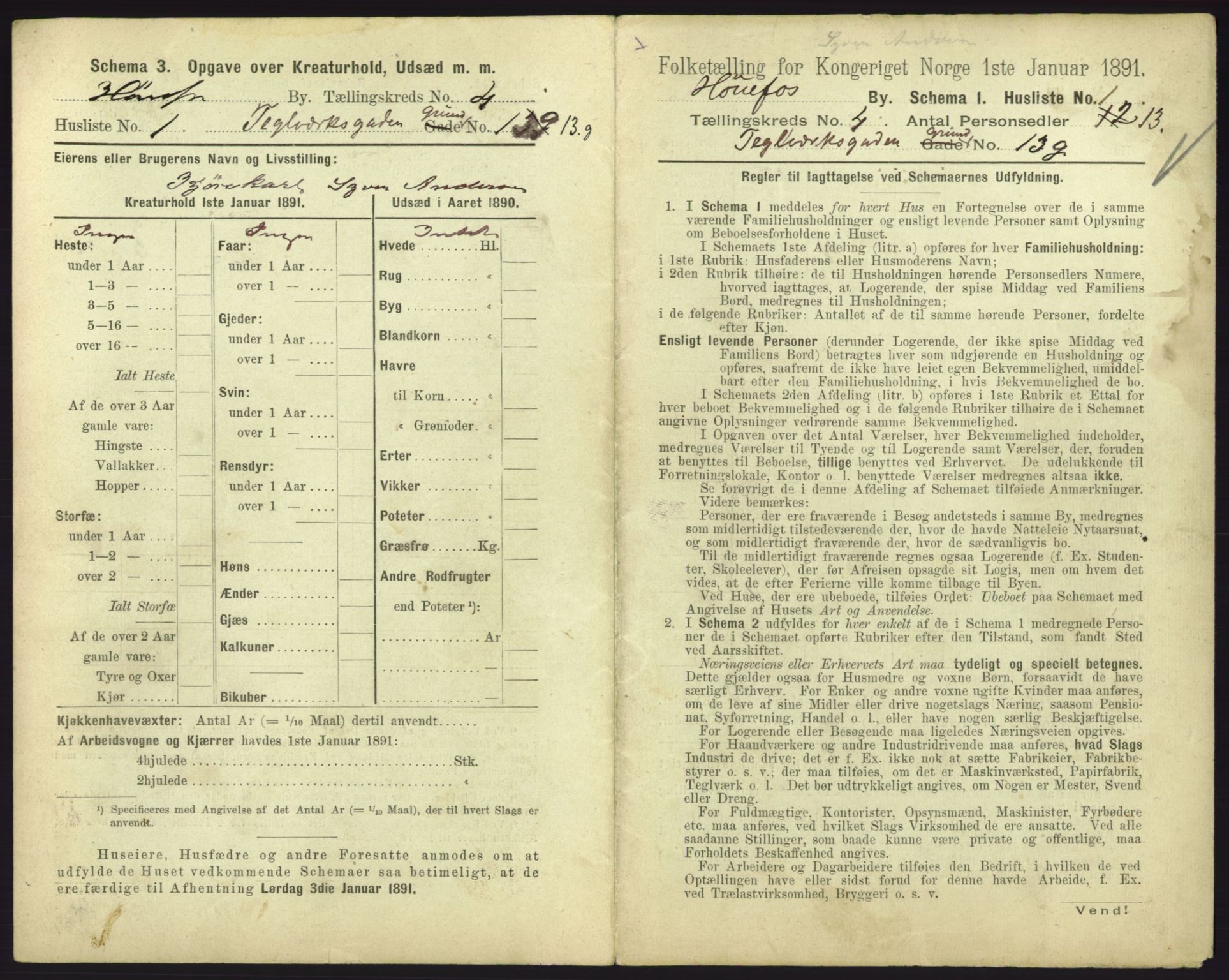 RA, 1891 census for 0601 Hønefoss, 1891, p. 123