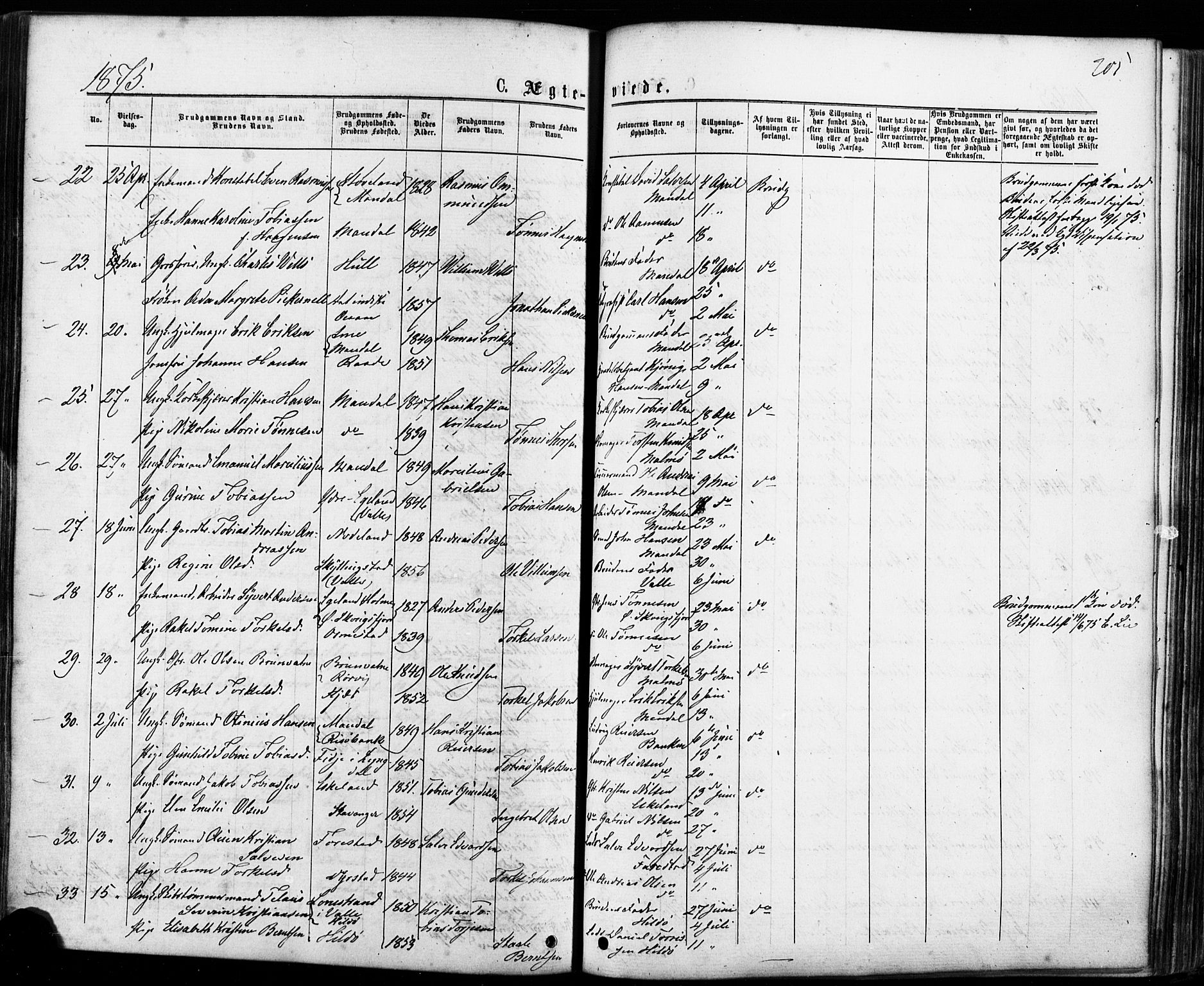 Mandal sokneprestkontor, SAK/1111-0030/F/Fa/Faa/L0015: Parish register (official) no. A 15, 1873-1879, p. 205