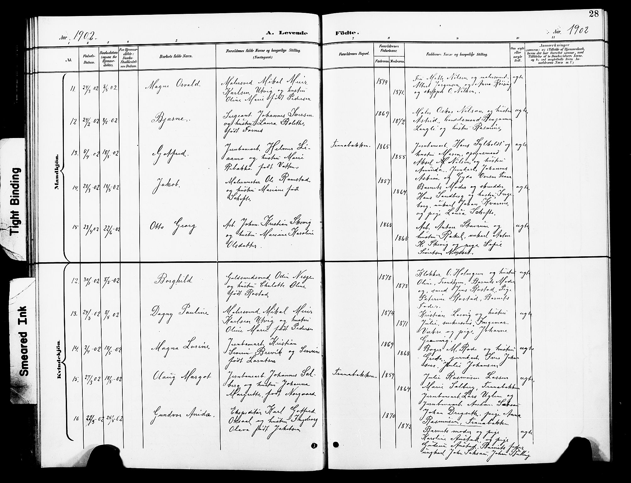 Ministerialprotokoller, klokkerbøker og fødselsregistre - Nord-Trøndelag, AV/SAT-A-1458/739/L0375: Parish register (copy) no. 739C03, 1898-1908, p. 28